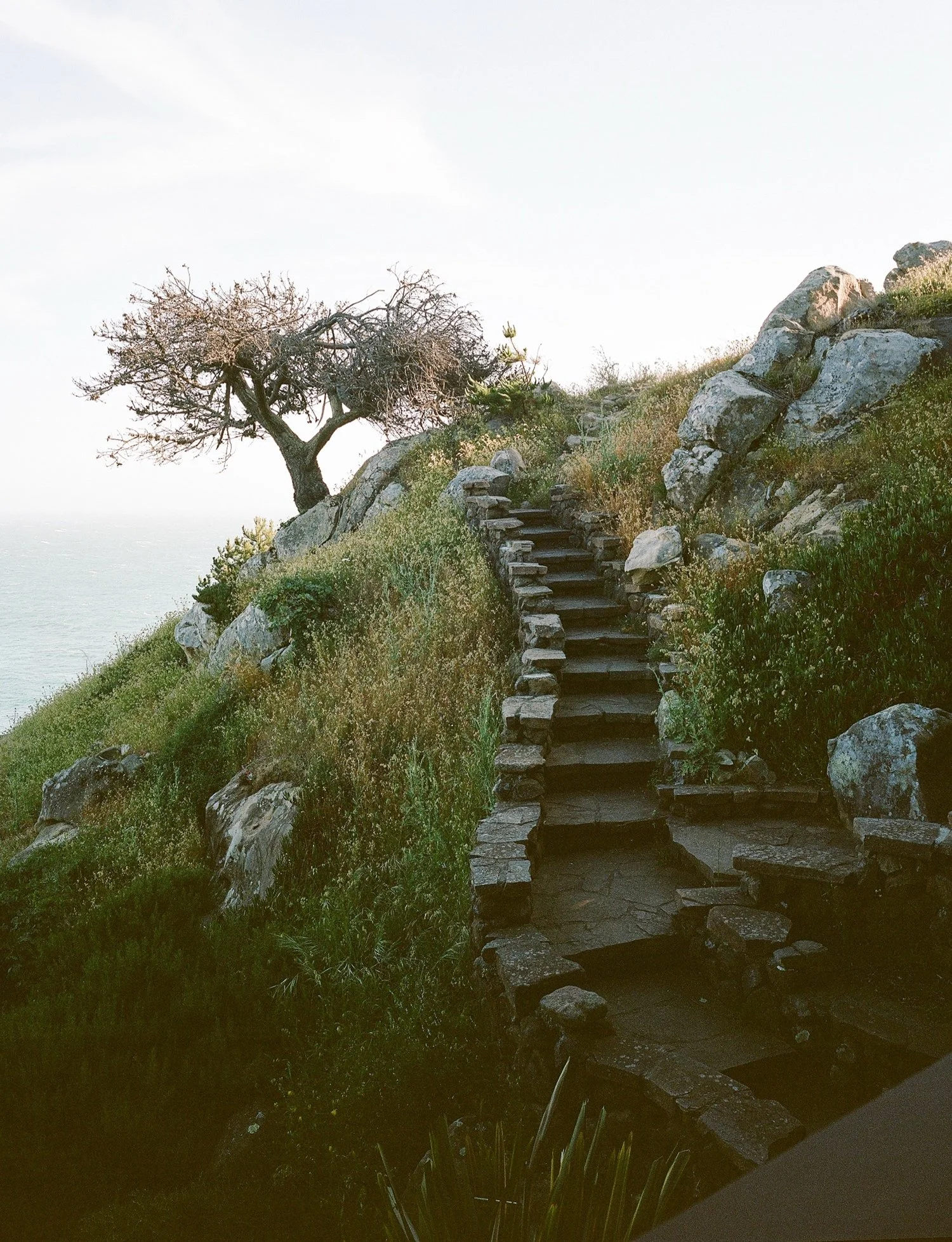 Timber Cove Wedding1.jpg