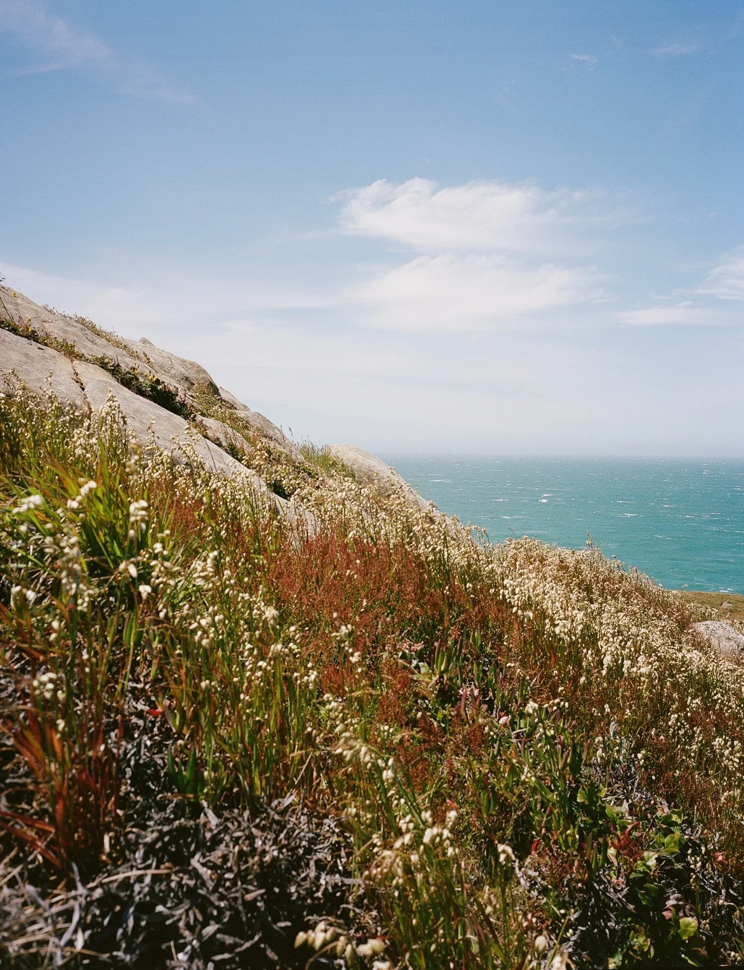 Timber Cove Wedding27.jpg
