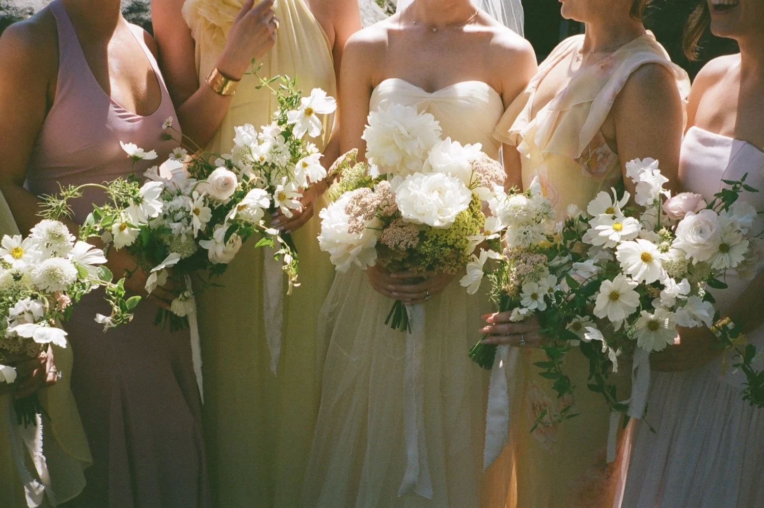 Timber Cove Wedding50.jpg