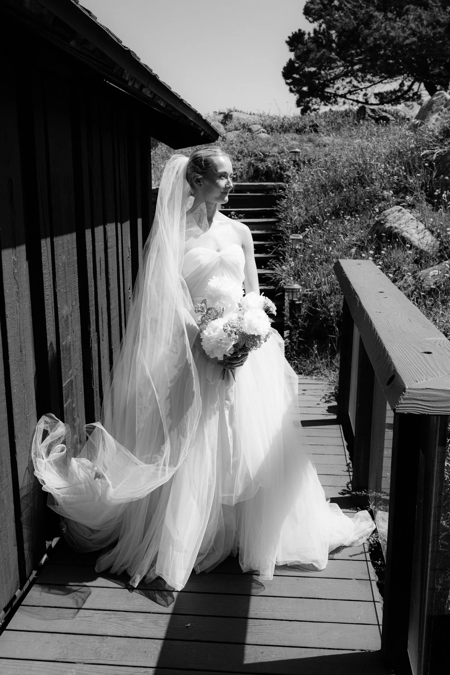 Timber Cove Wedding56.jpg