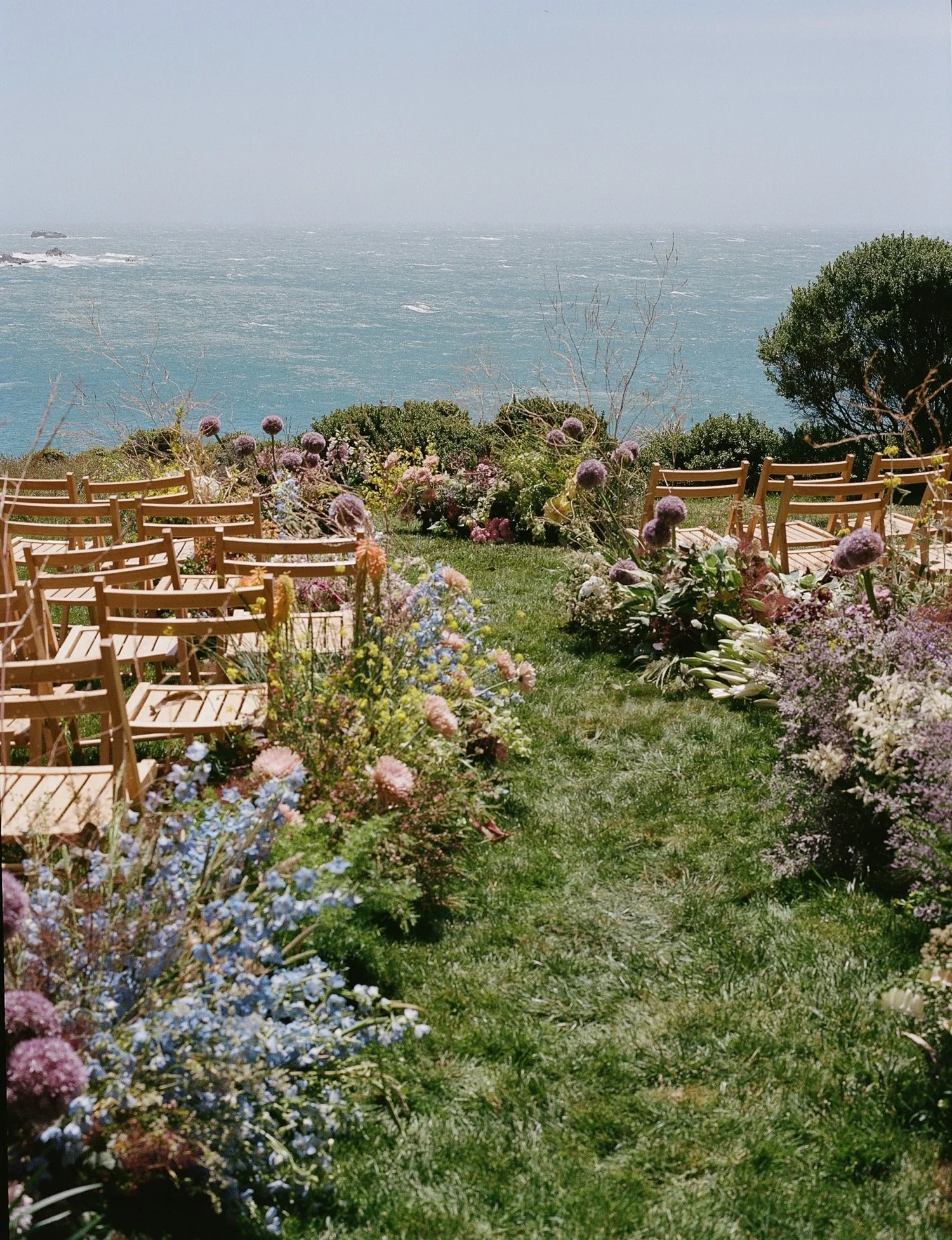 Timber Cove Wedding70.jpg