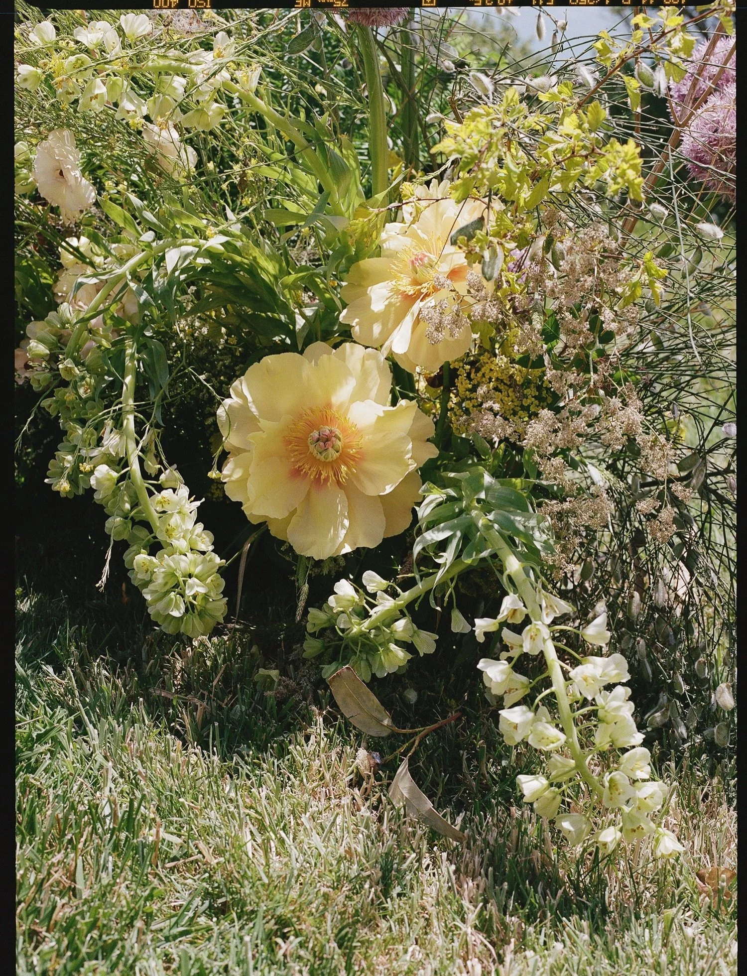 Timber Cove Wedding71.jpg