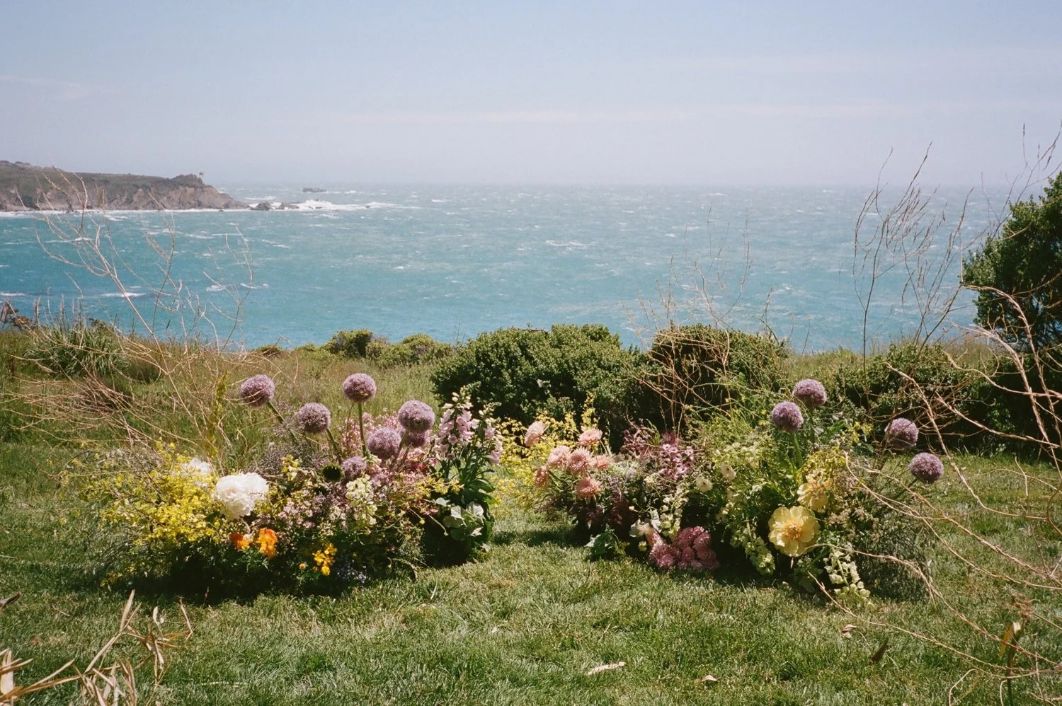Timber Cove Wedding73.jpg