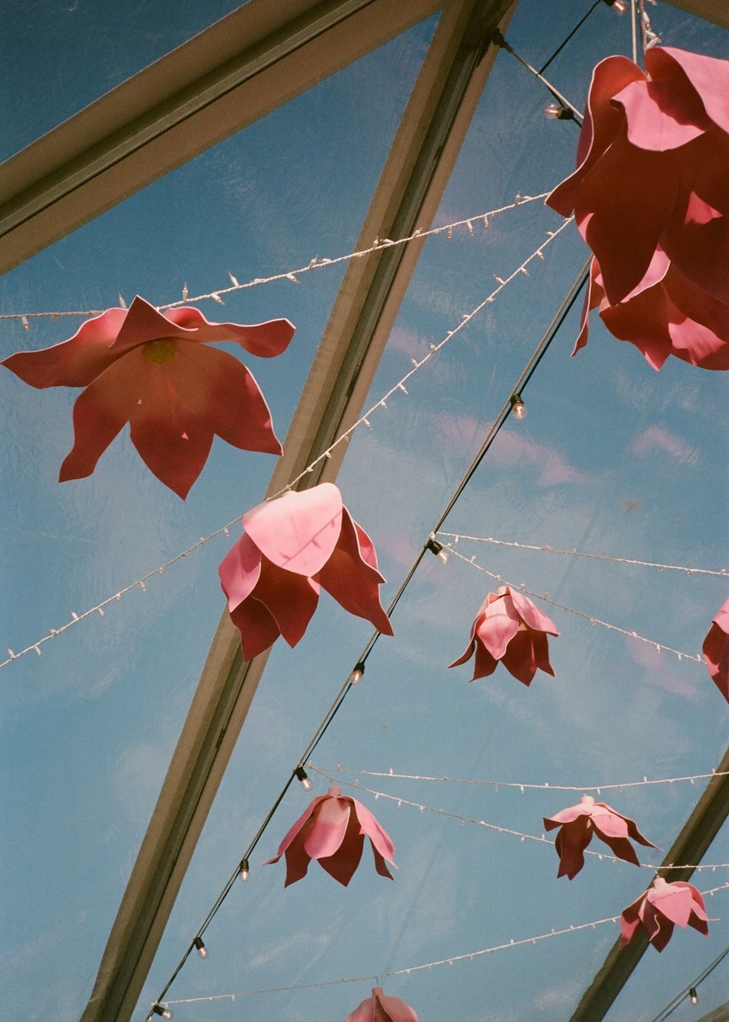 Timber Cove Wedding144.jpg