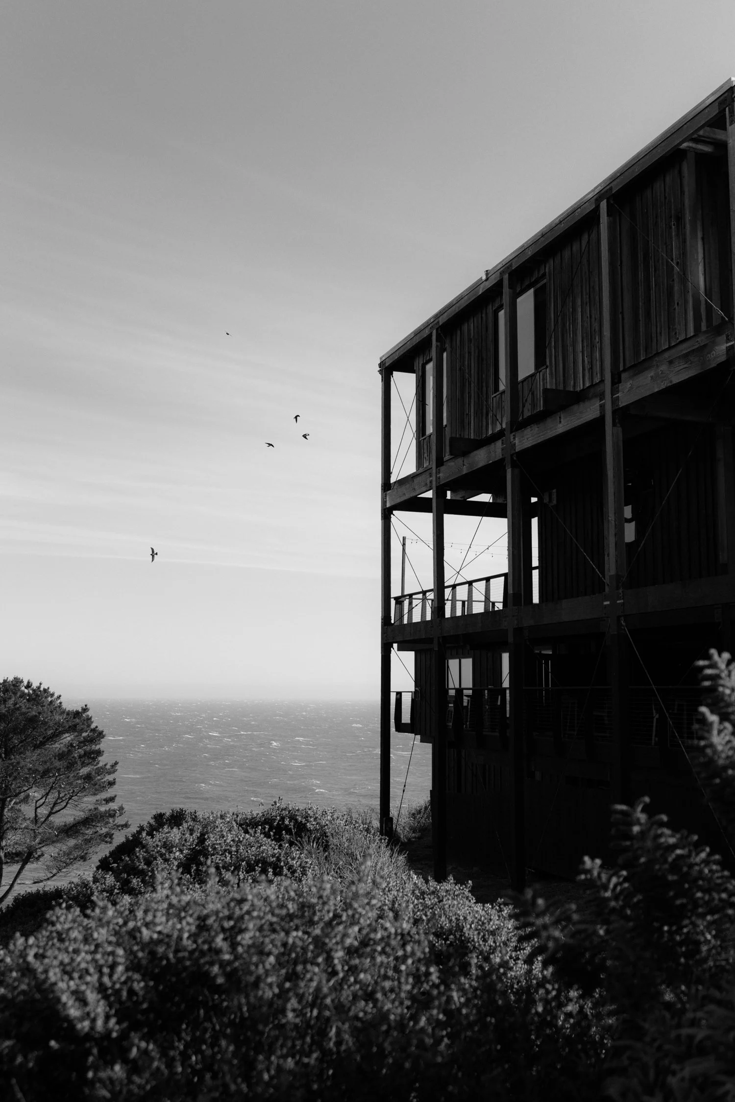 Timber Cove Wedding155.jpg