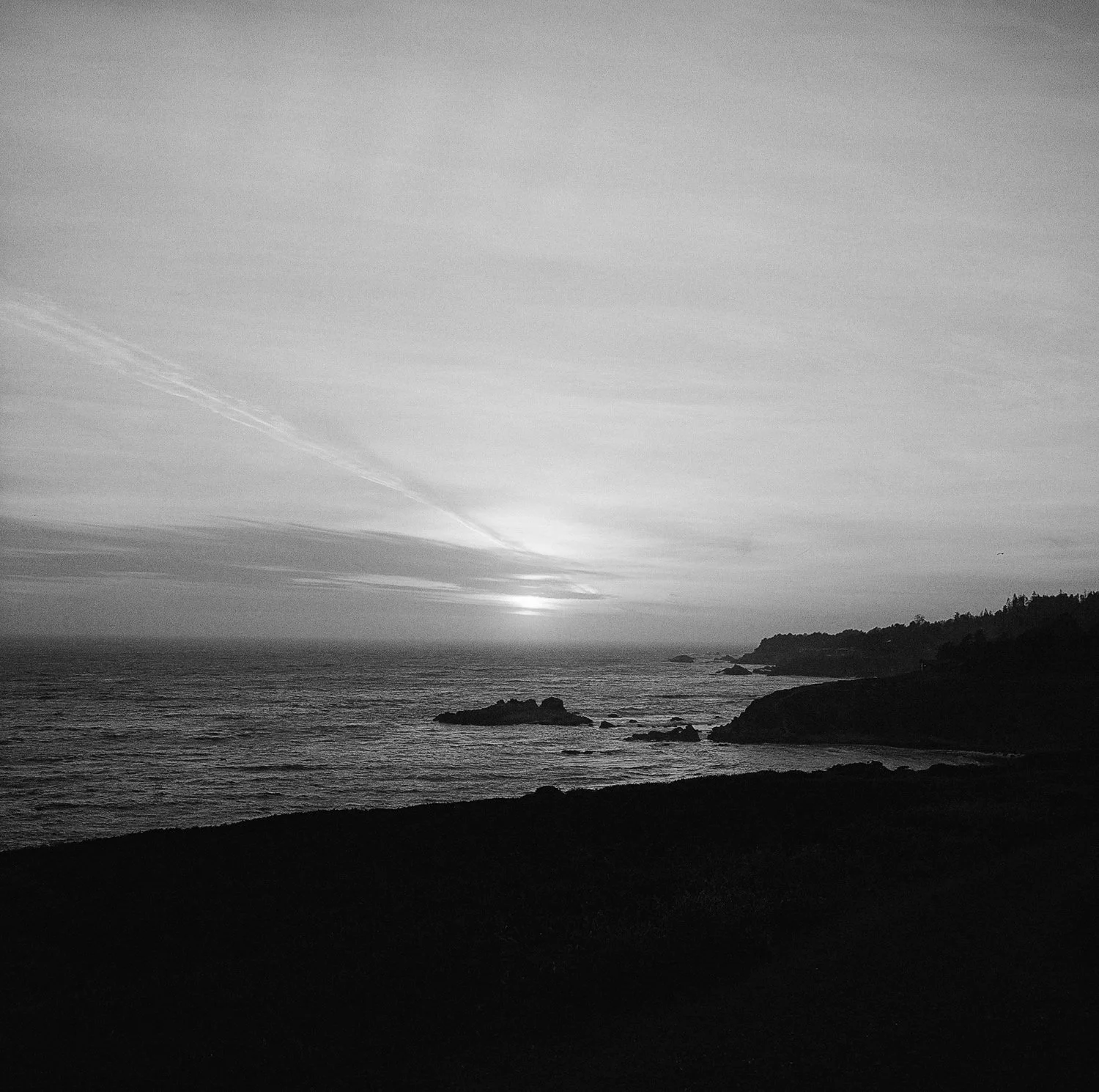 Timber Cove Wedding206.jpg