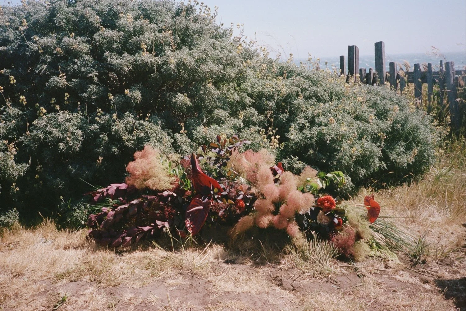Sea Ranch Lodge Wedding87.jpg