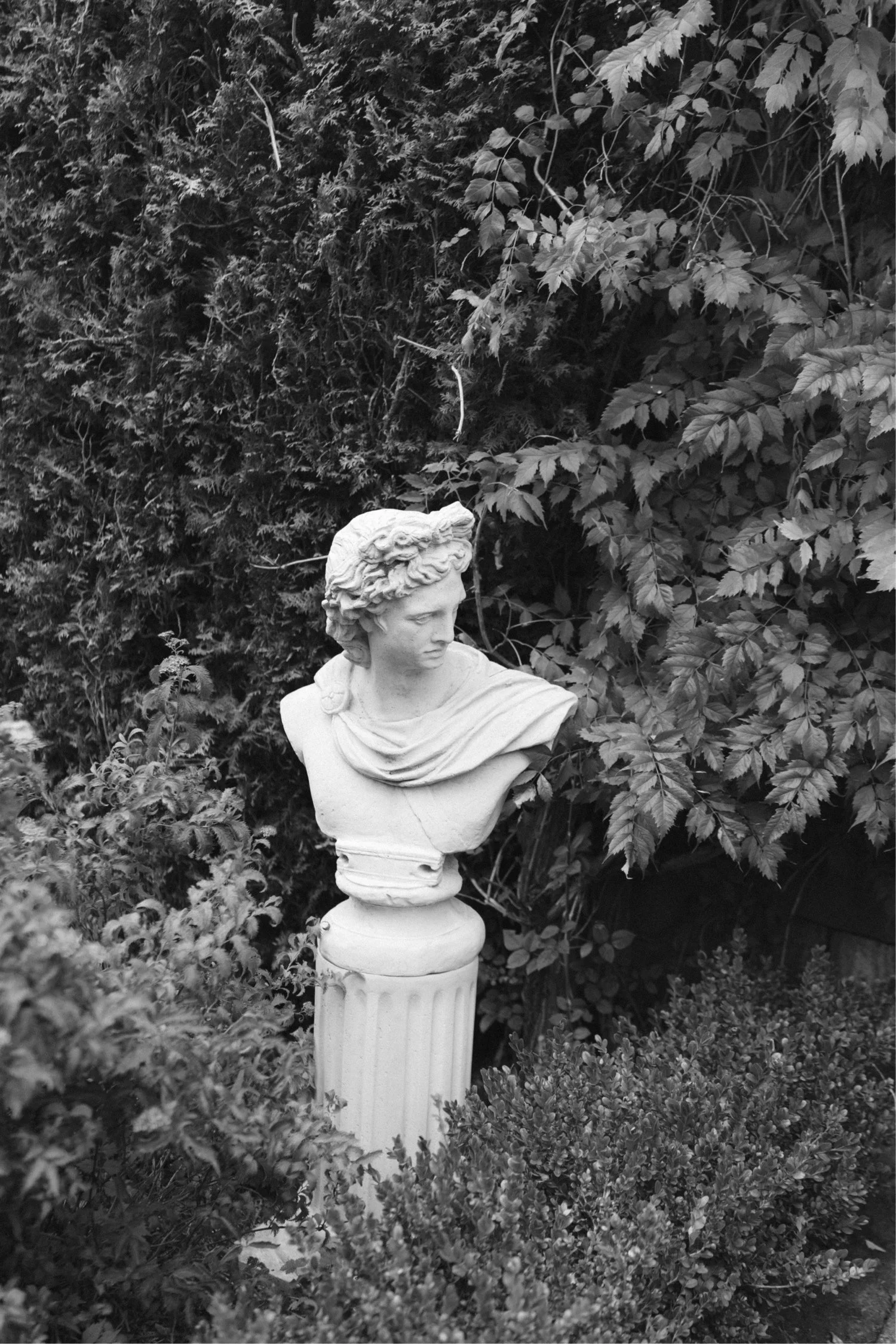 Chateau de Michellia Wedding Salem Oregon95.jpg