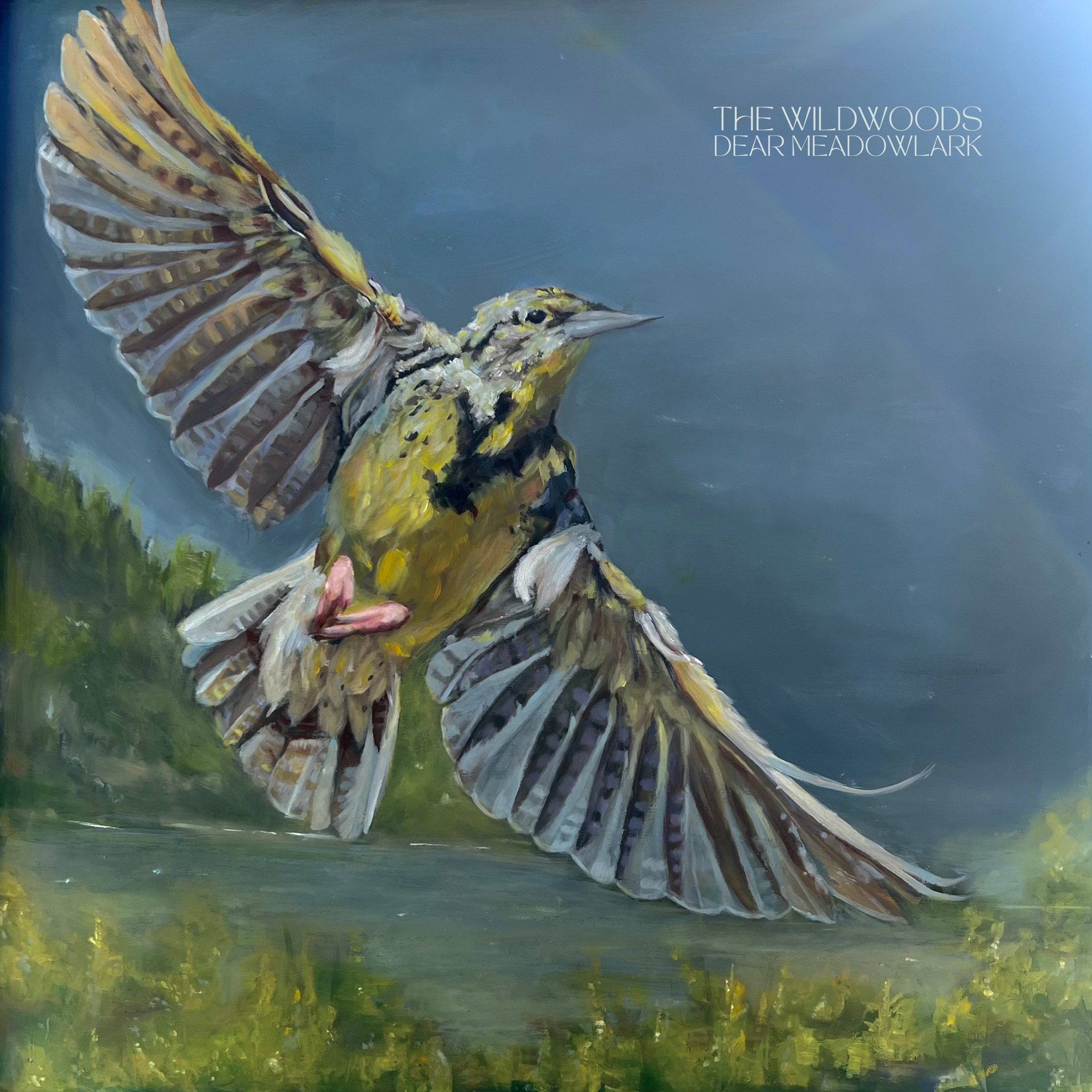 Dear Meadowlark Cover.png