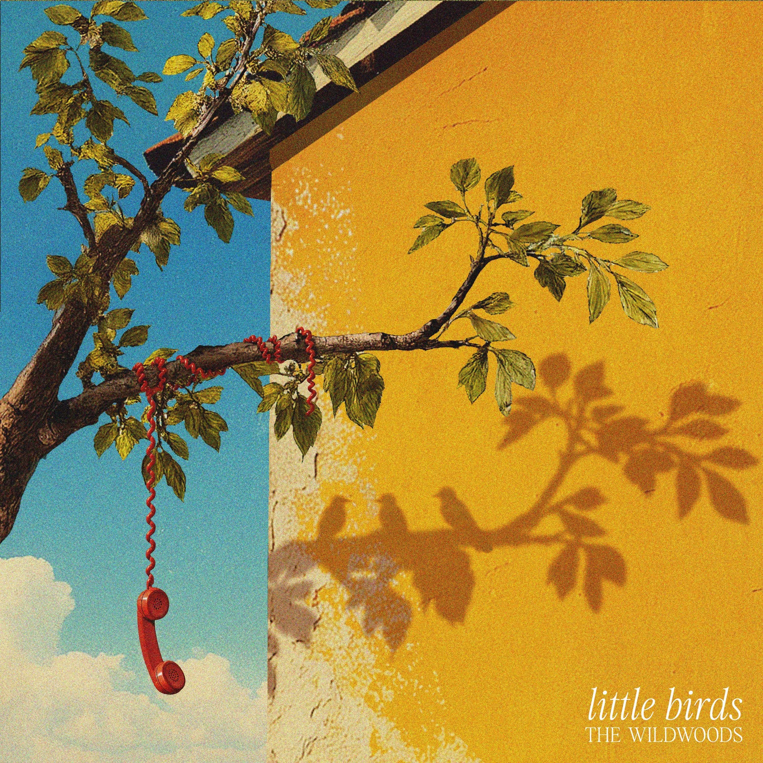 The Wildwoods - little birds