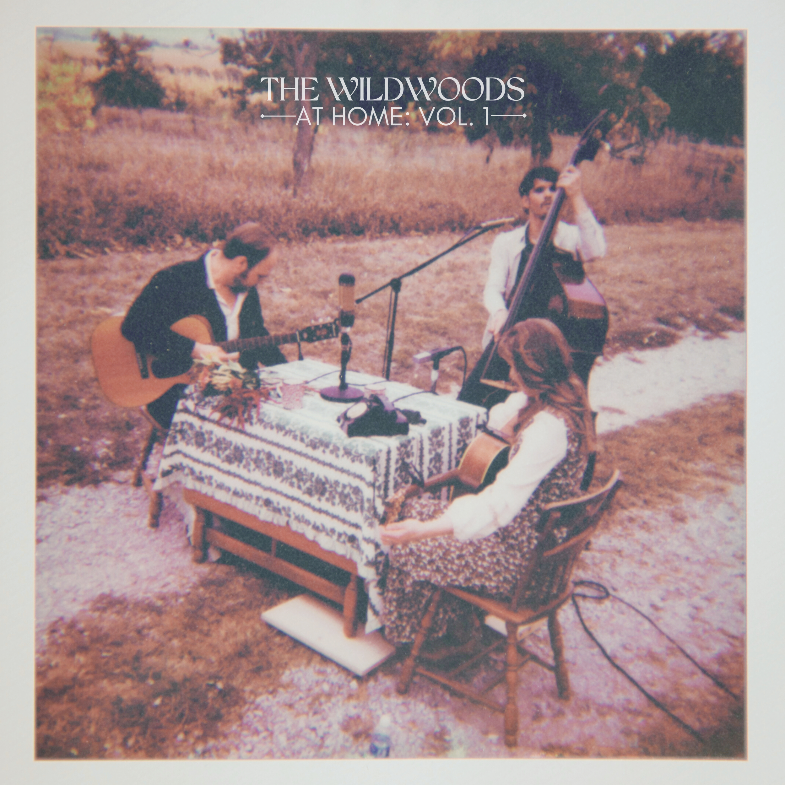 The Wildwoods At Home EP