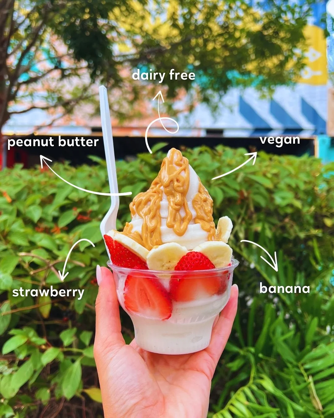 Football (Fit Ball?) Sundae 🏈

Our Nice Split Bowl featuring our nice cream is always a crowd pleaser 😌

🍦Your choice of soft serve
🍓 Strawberries
🍌 Bananas
🥜 Peanut butter drizzle

Or dress it up however you want, we gotchu 😎 Only at @sparkma