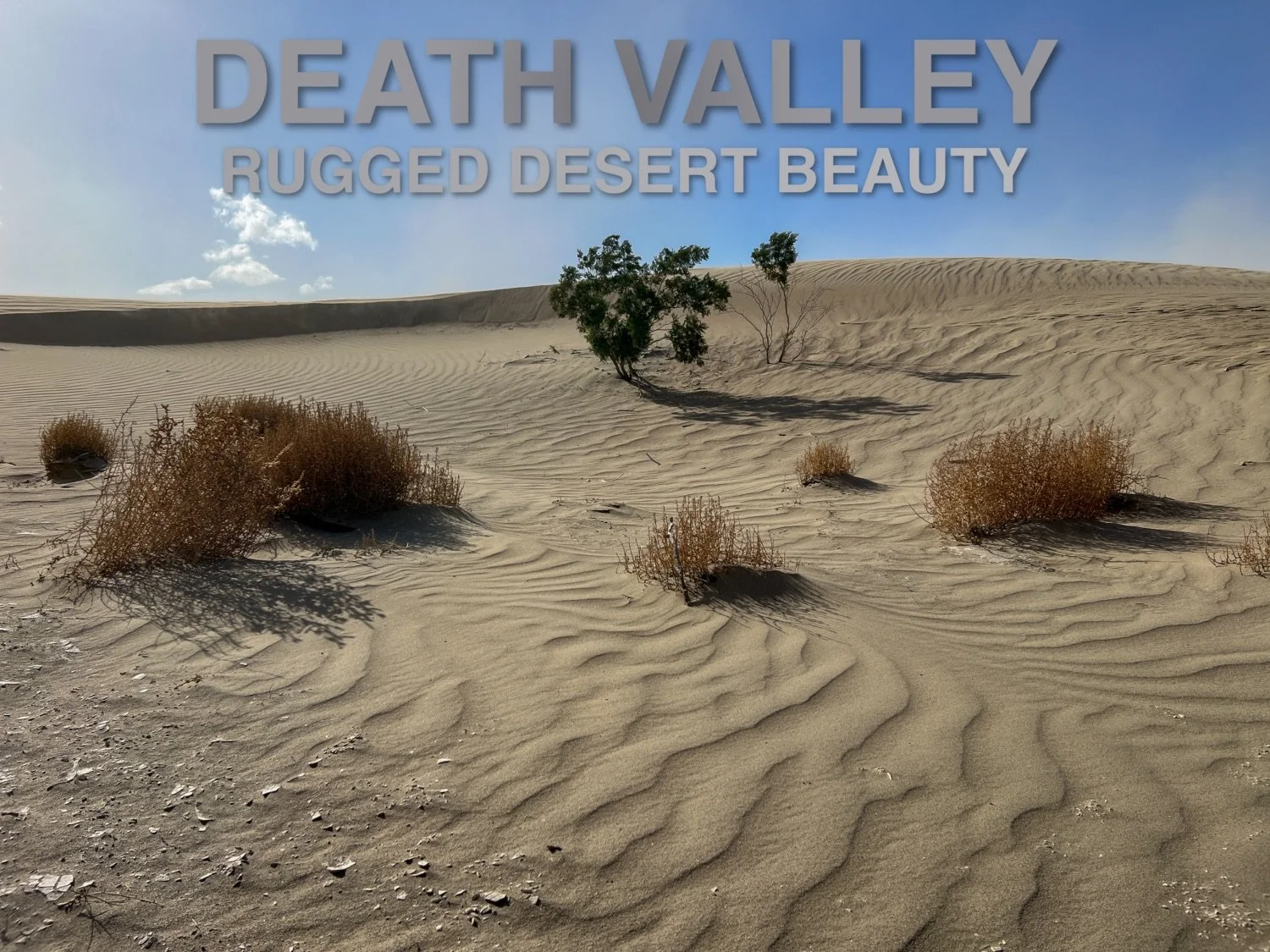 New Travel Photo Zine Series