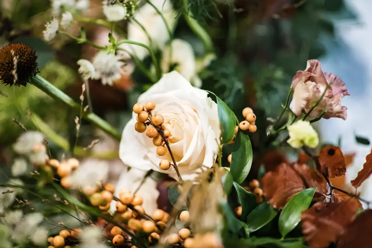flimwellpark-wedding-281122-3_4_303254-167112074052026.webp