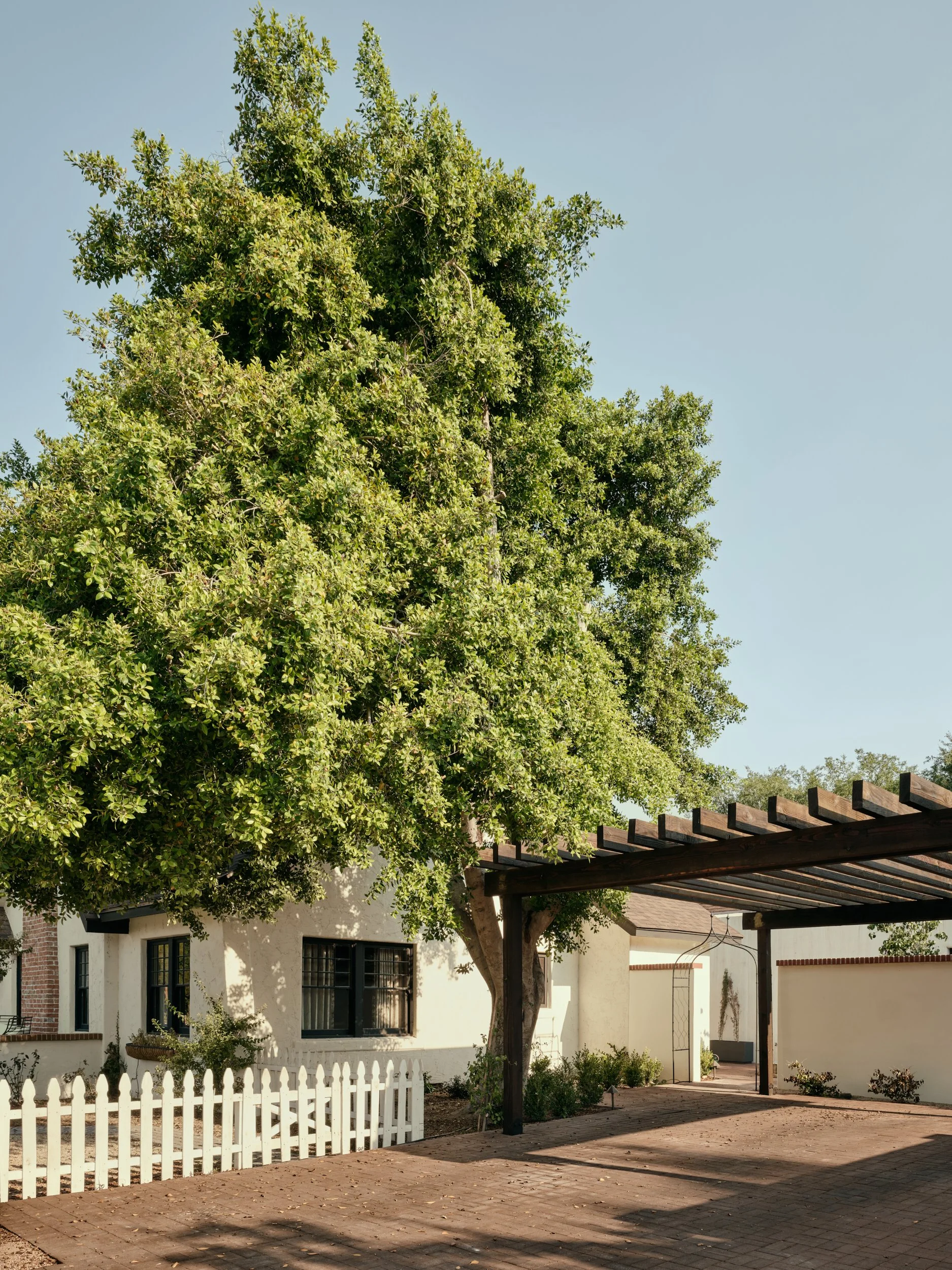 Web 015 Studio Pela Medlock driveway and side 8694.jpg