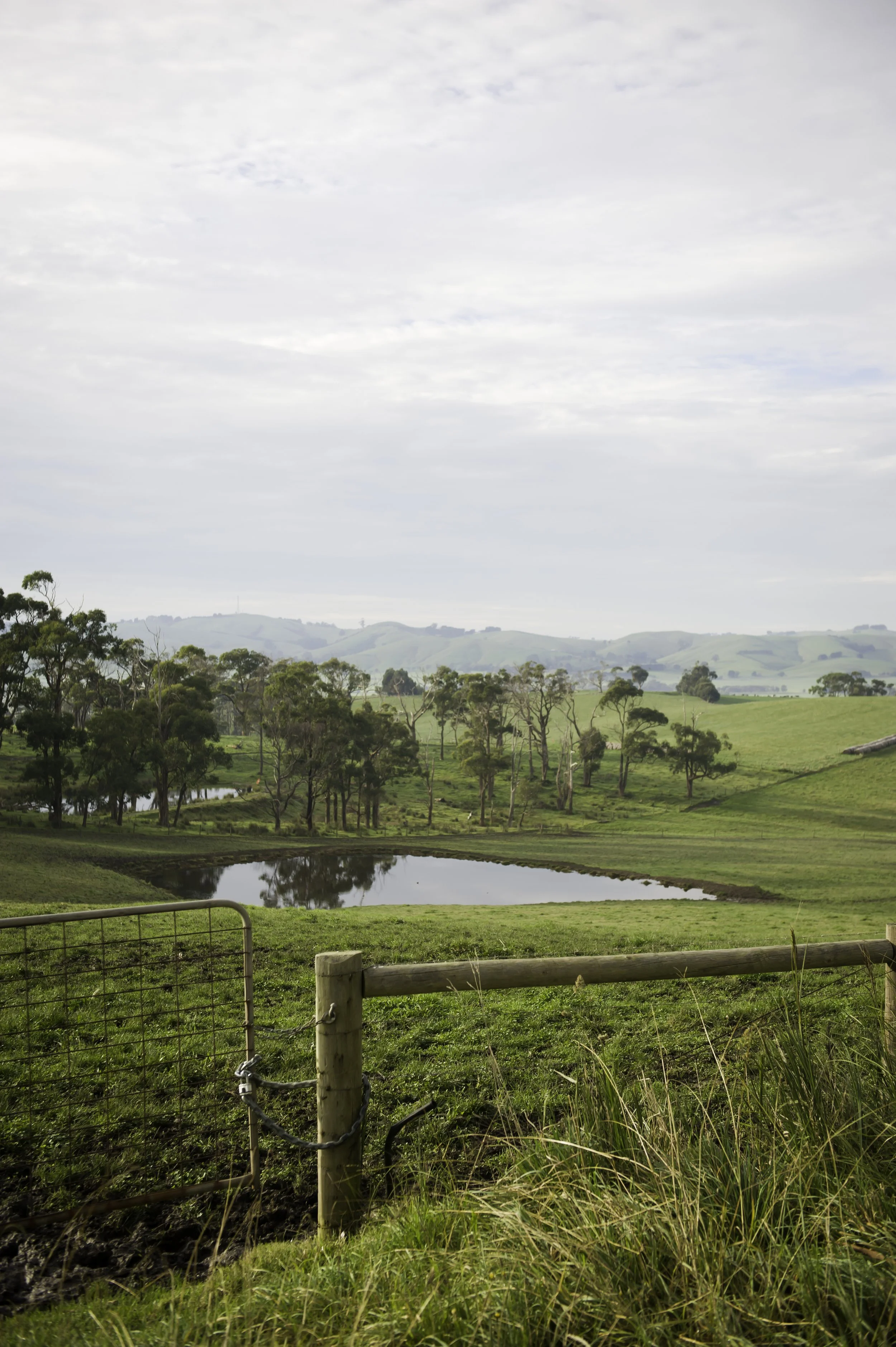 Budget boost for Gippsland