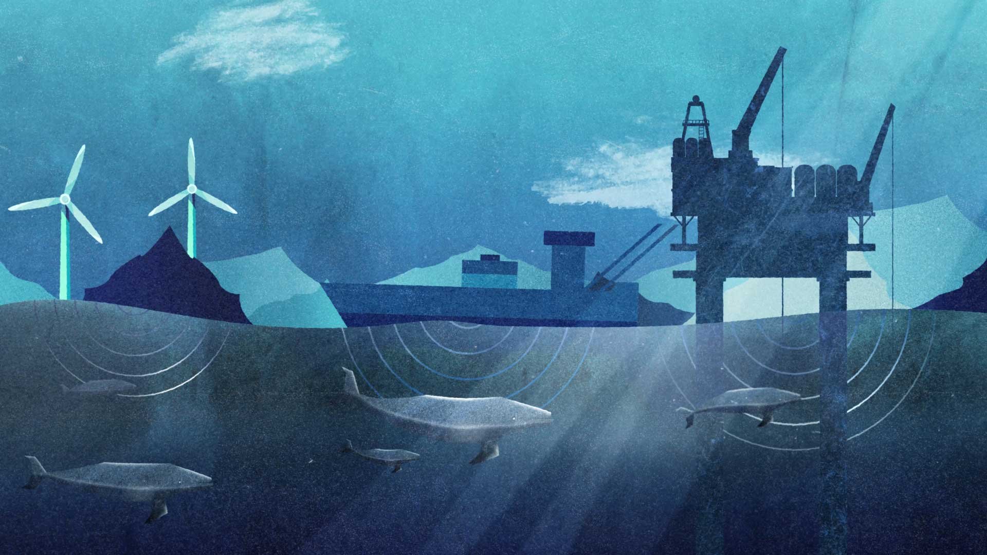 w3.jpg