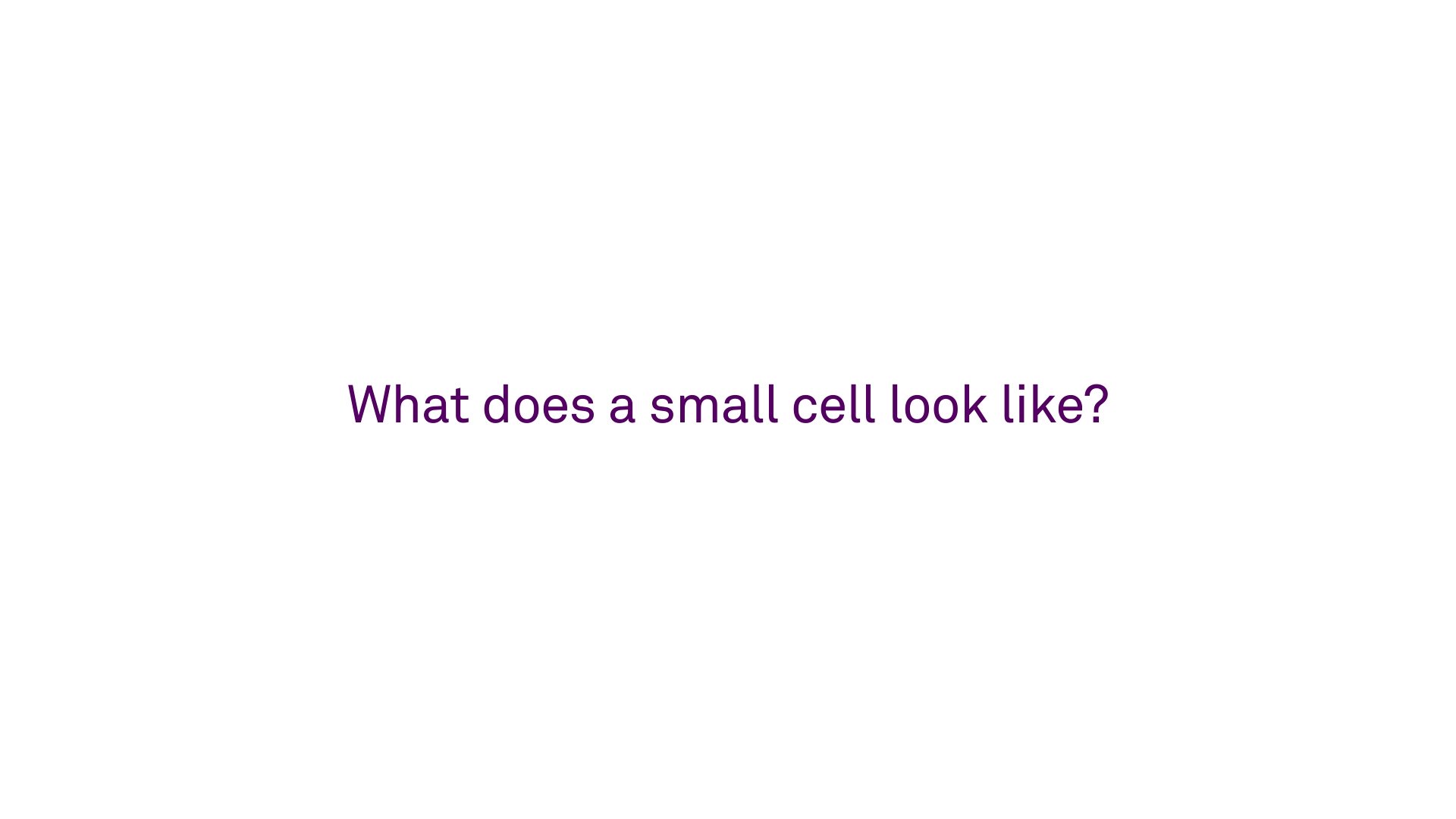 smallcells_8.jpg