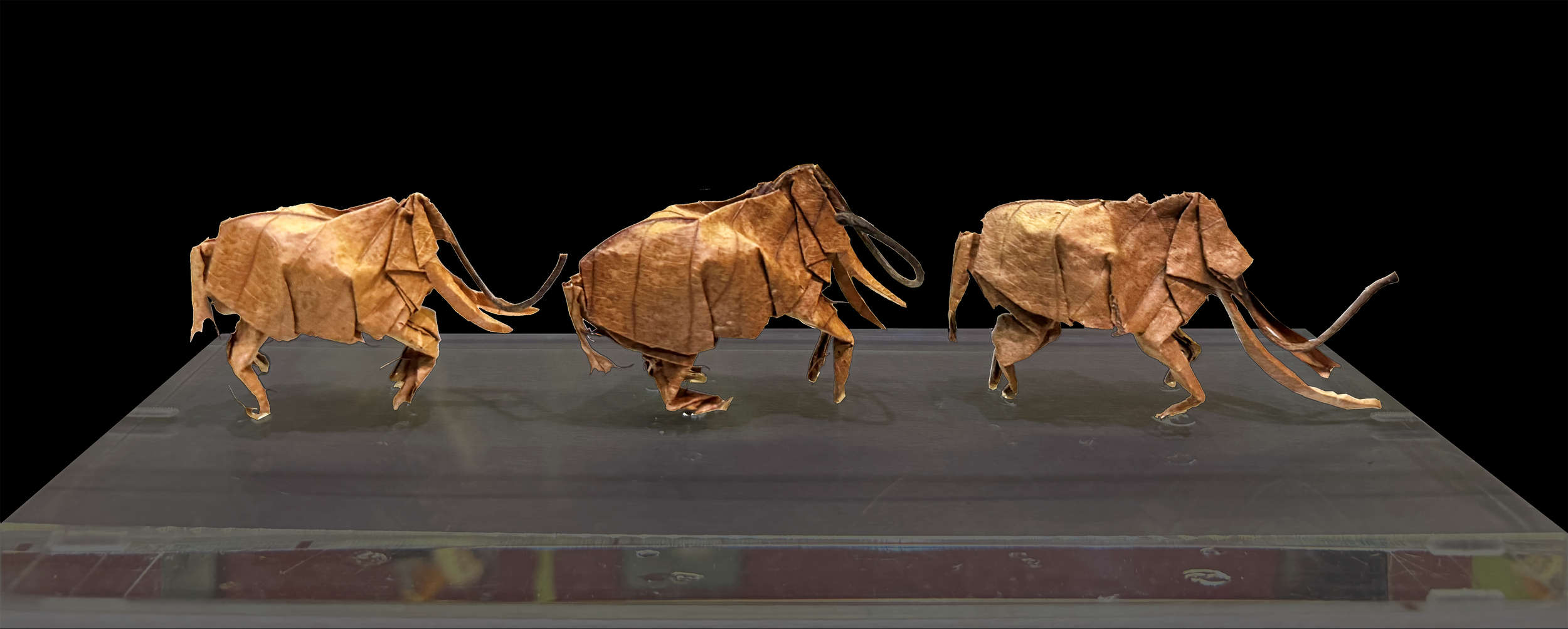 Elephants with tusks - 3x6 - folded oak leaves - 2024