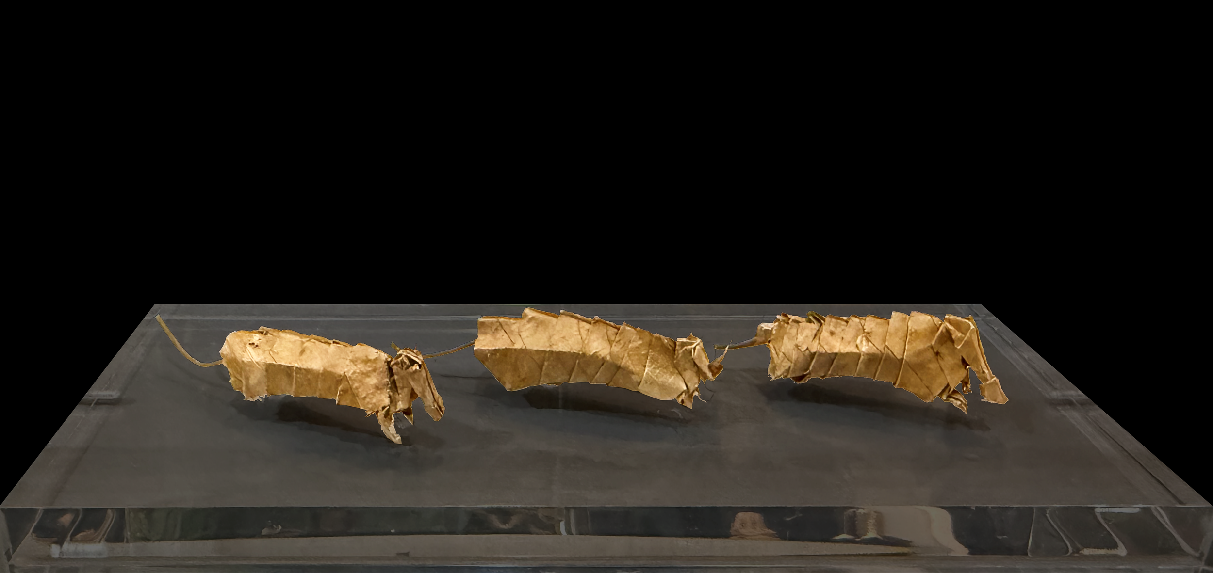 Armadillos - 3x6 - folded oak leaves - 2024