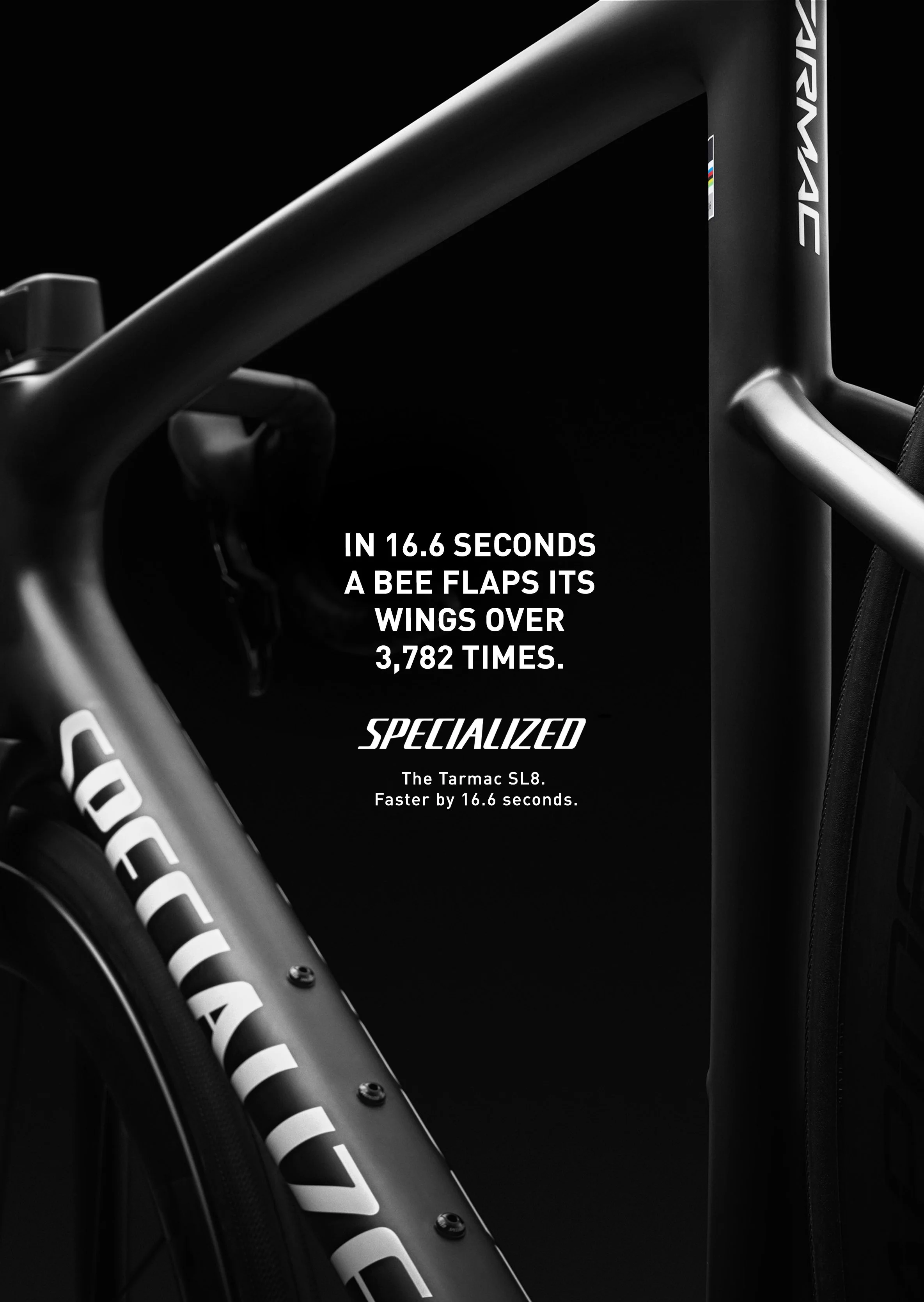 Specialized_Print3.jpg