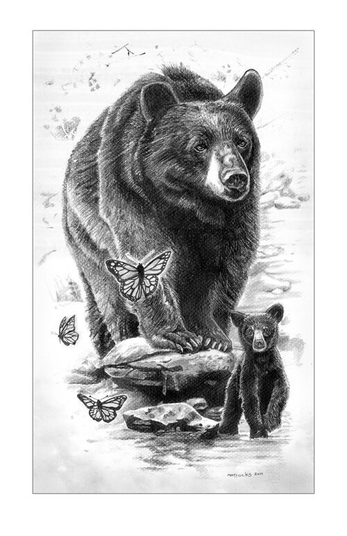 BLACK BEAR AND CUB - PRINTS AVAILABLE