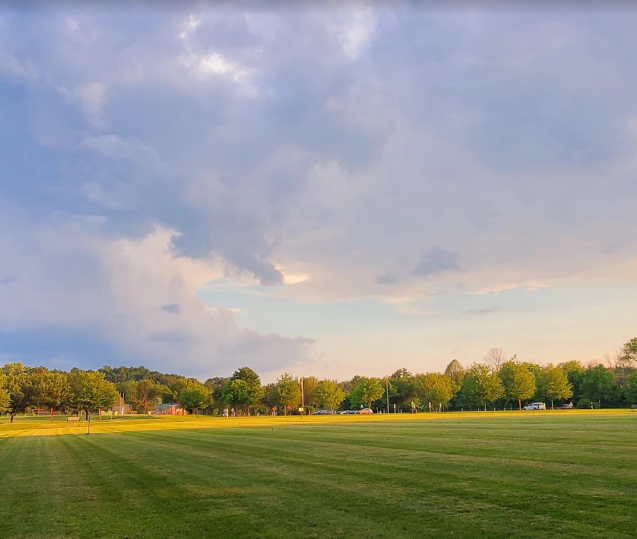 Planning a Family Reunion? Here's How to Keep Everyone Happy 