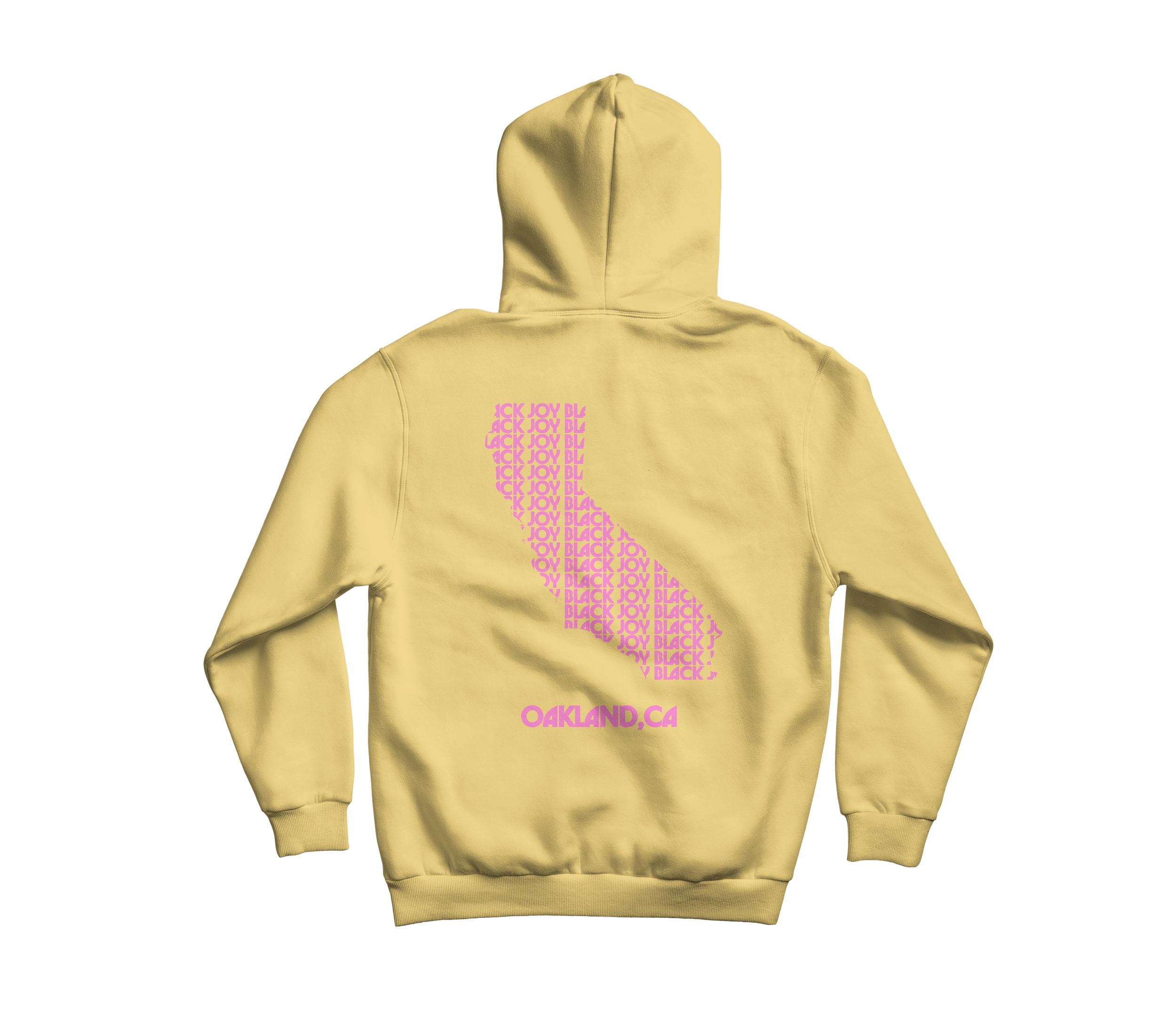 BJP-HOODIE-BACK.png