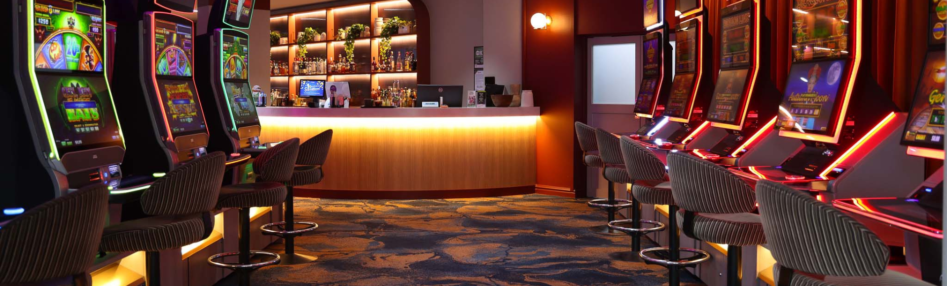 The Condo Header Banner (1).png