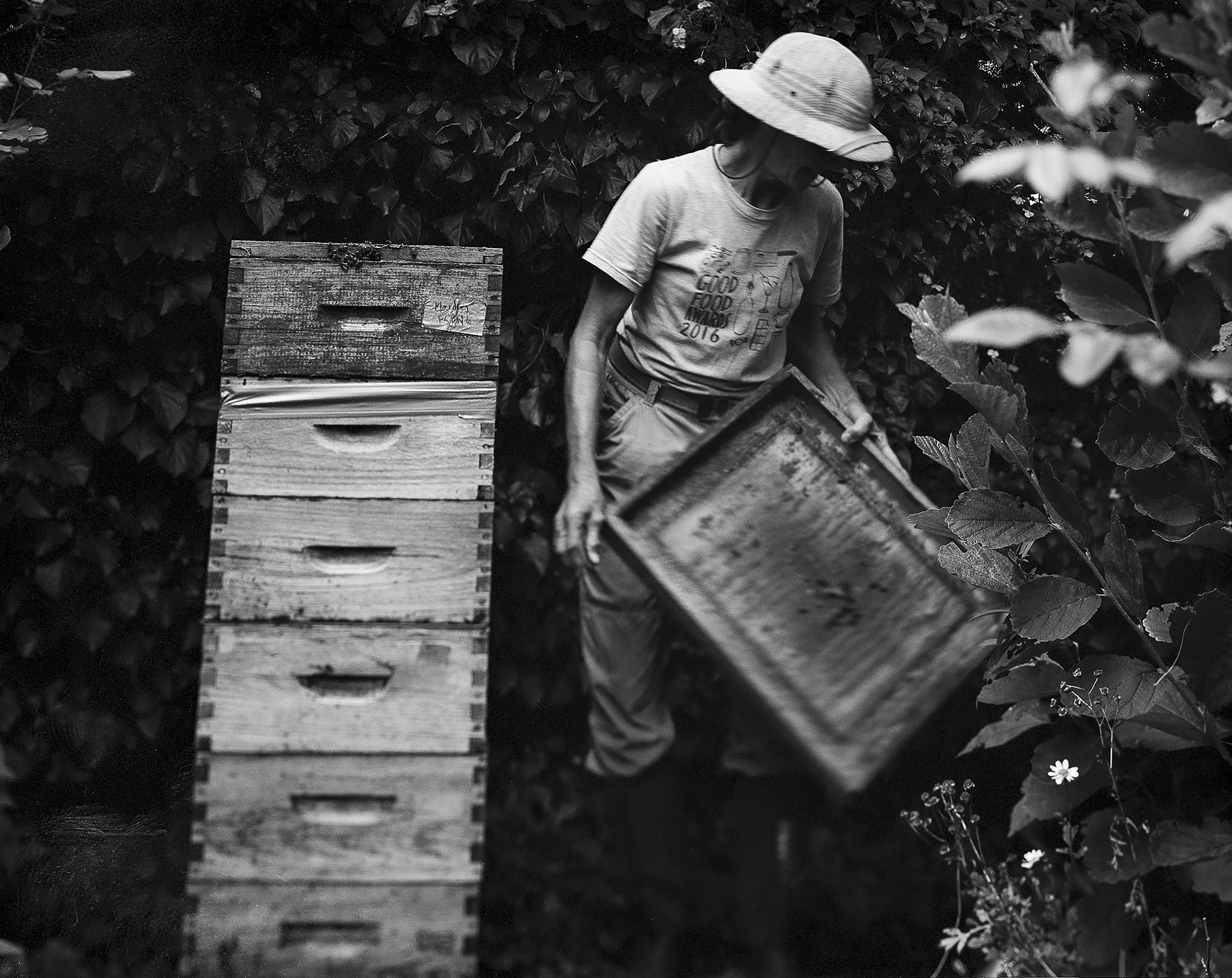 Mary Woltz - "Bees Needs" Owner and Sag Harbor Beekeeper