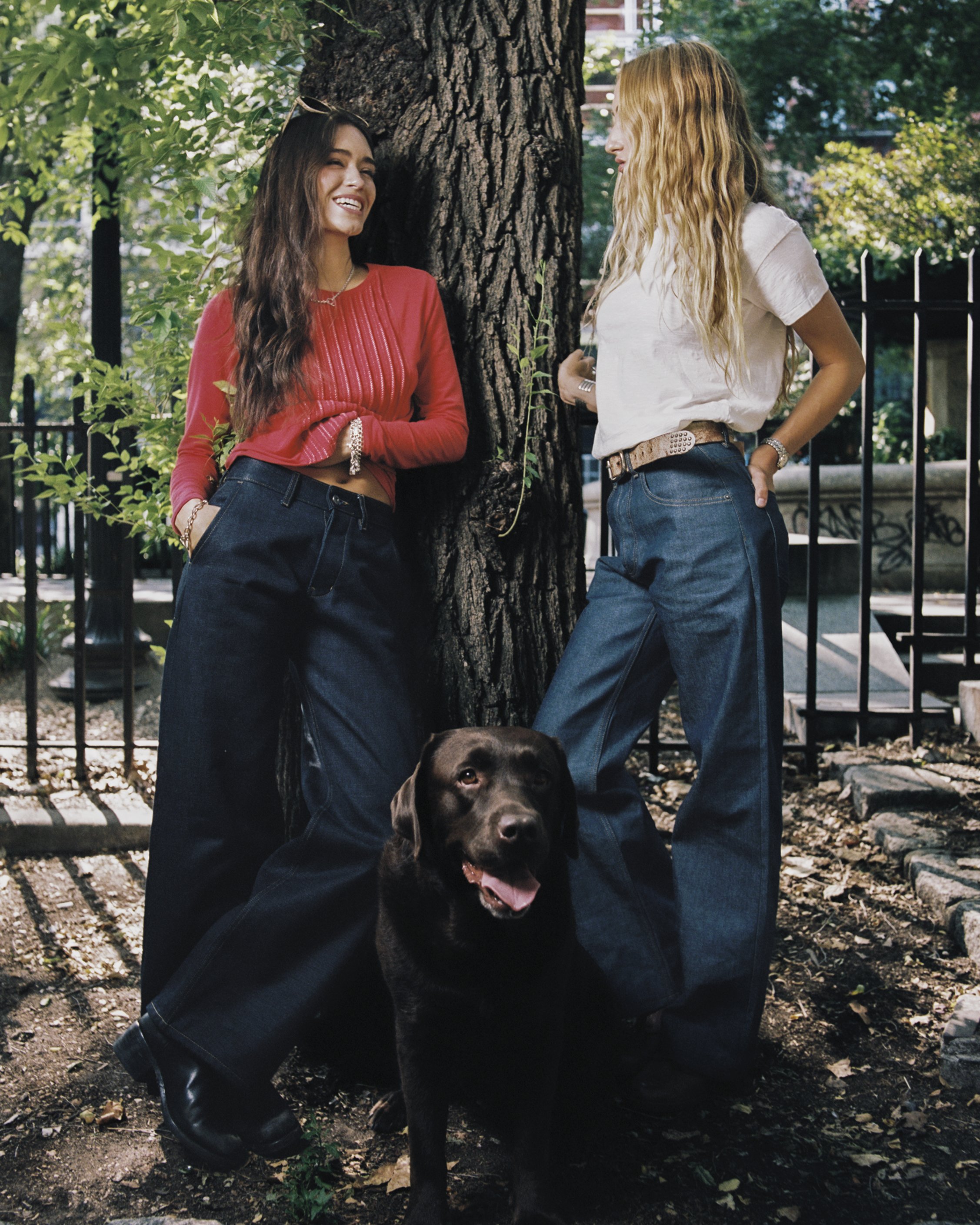 Free Agency New York