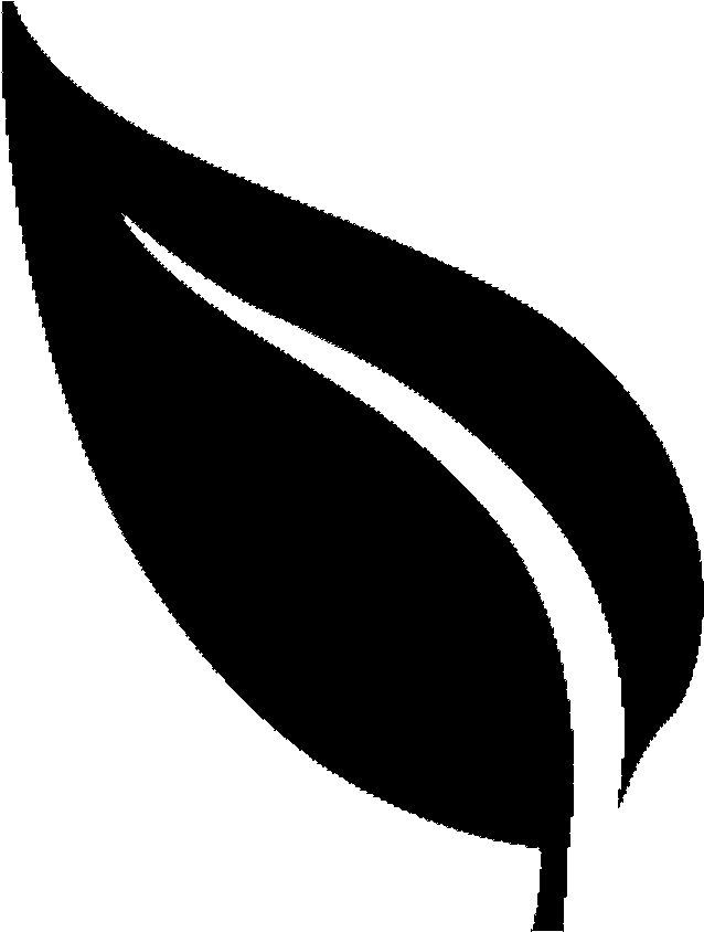 Black minimalist leaf line art icon symbolizing somatic regulation, grounding, and personal growth in therapy.
