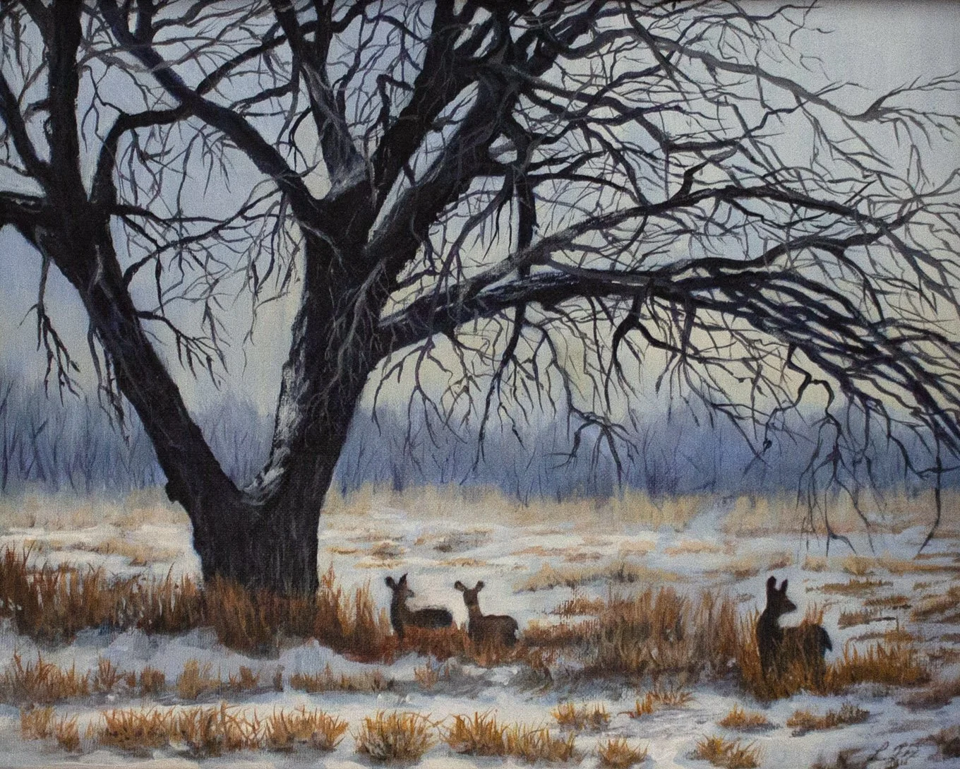  By Loretta Fix 