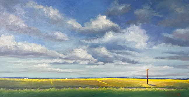 Canola Gold