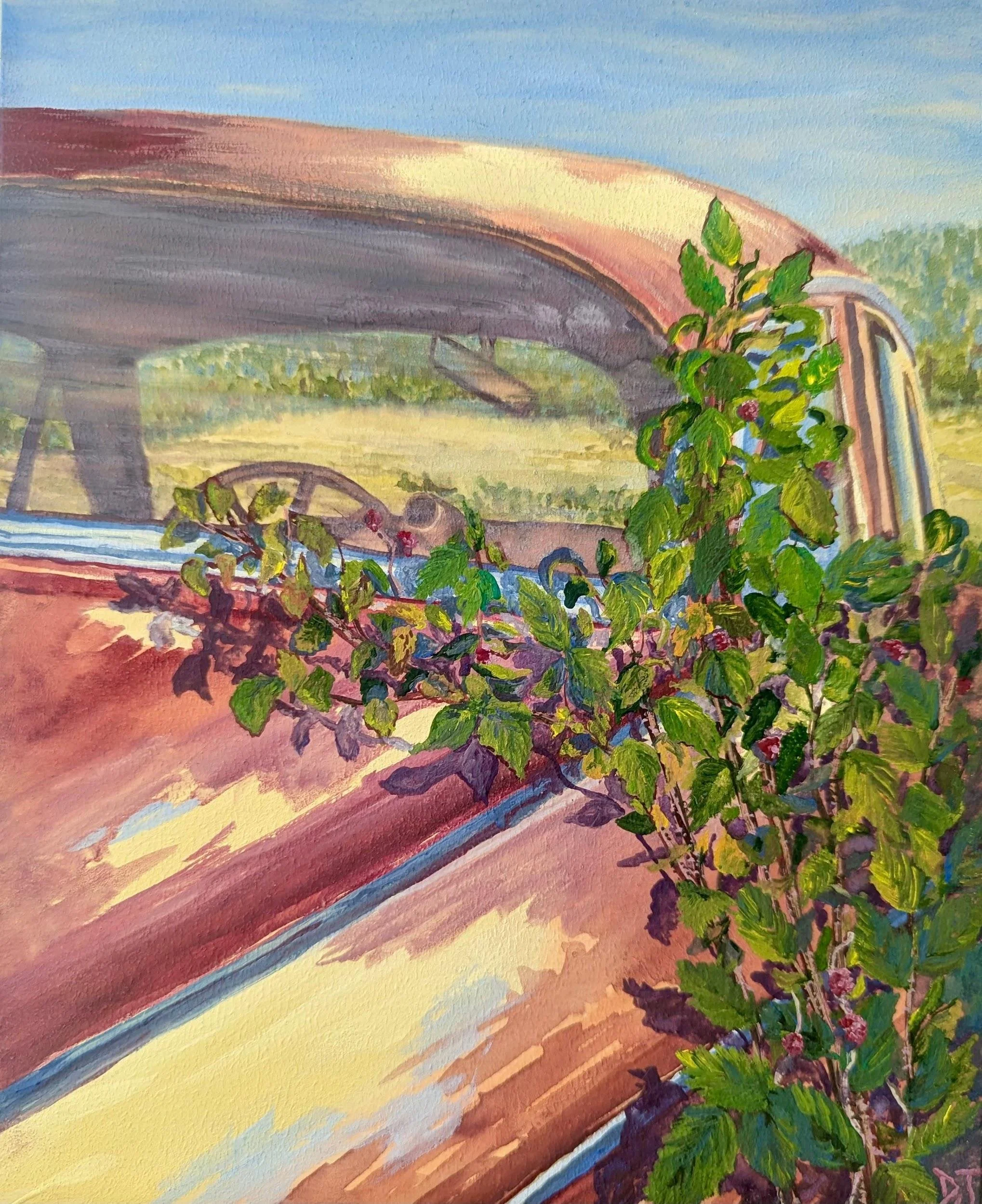 Raspberry Volvo