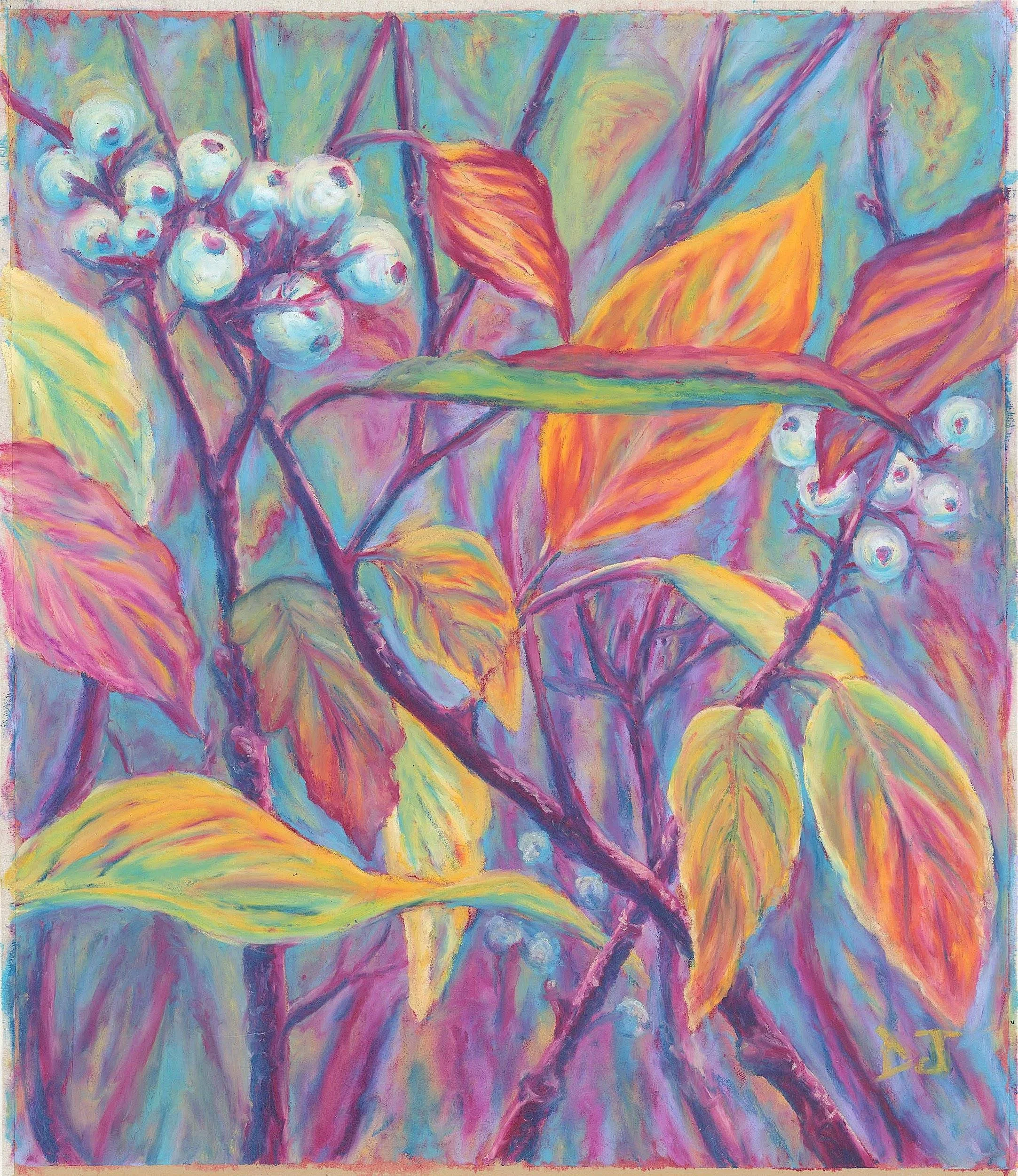 Red Osier Dogwood