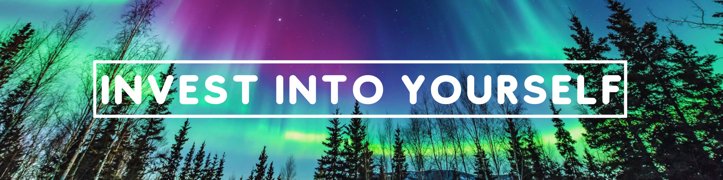 INVEST INTO YOURSELF.png