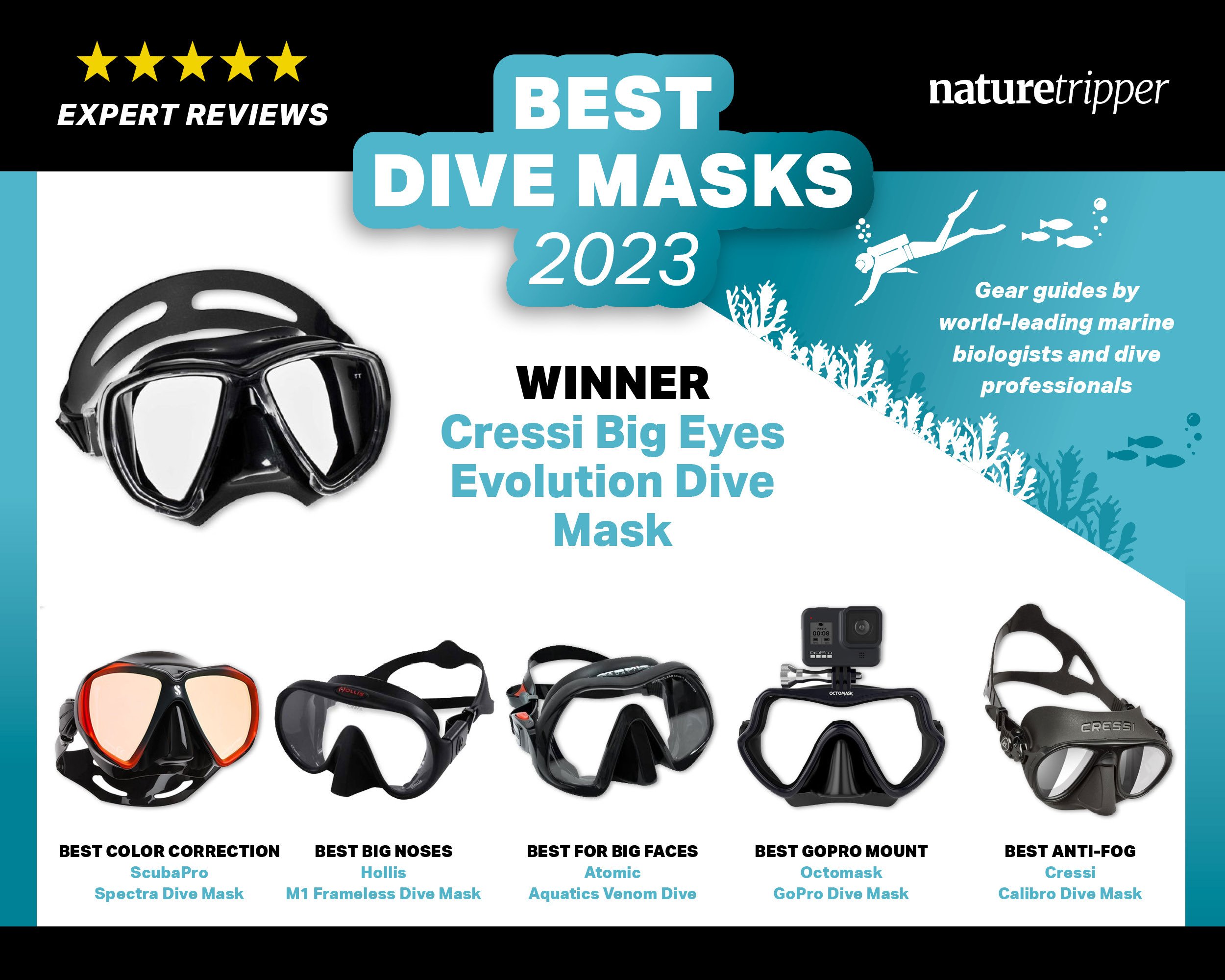 Efterforskning Glat Erhvervelse Best Dive Masks for 2023 🏆 [Marine Biologist Reviewed]