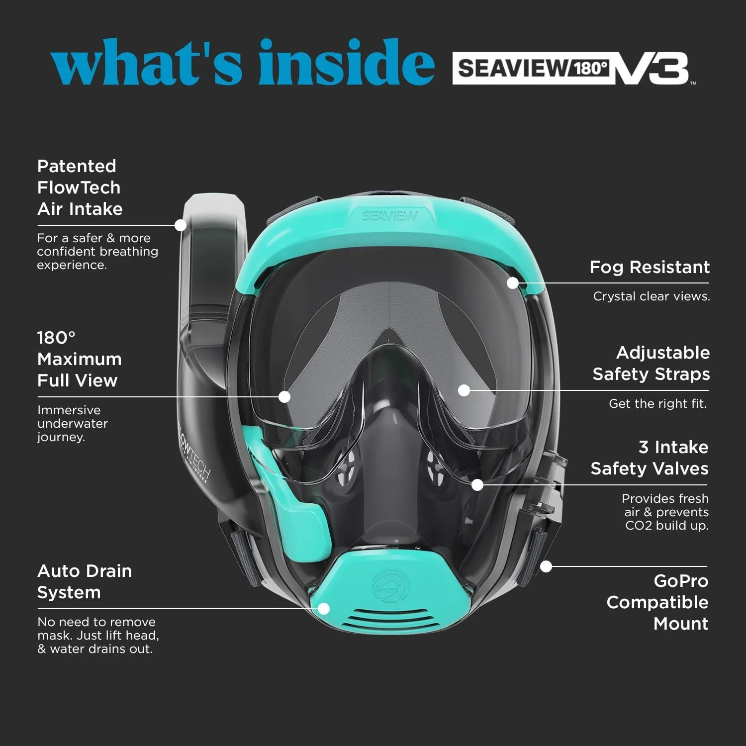 BEST Full-Face Snorkel Mask 2023 🏆 [Marine Biologist Reviewed]