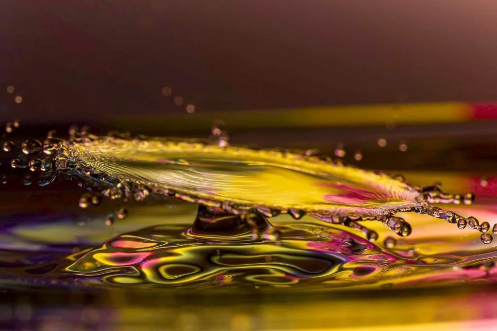 974Wolf-DamschitzWaterdrops-Macro1-21-scaled.jpg