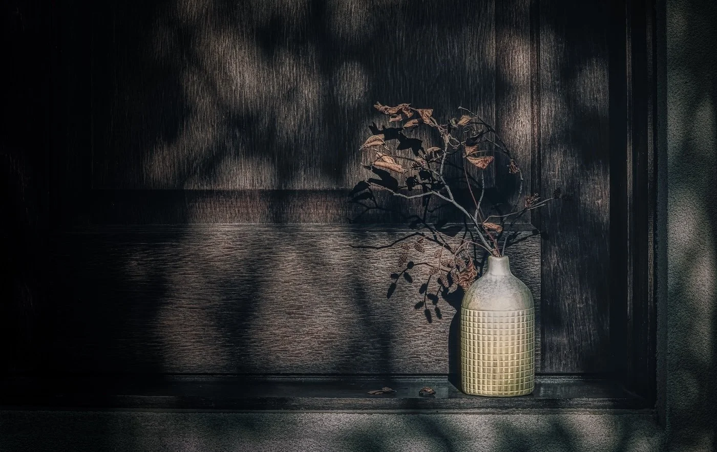 Shadows Of What Remains - Susan Su