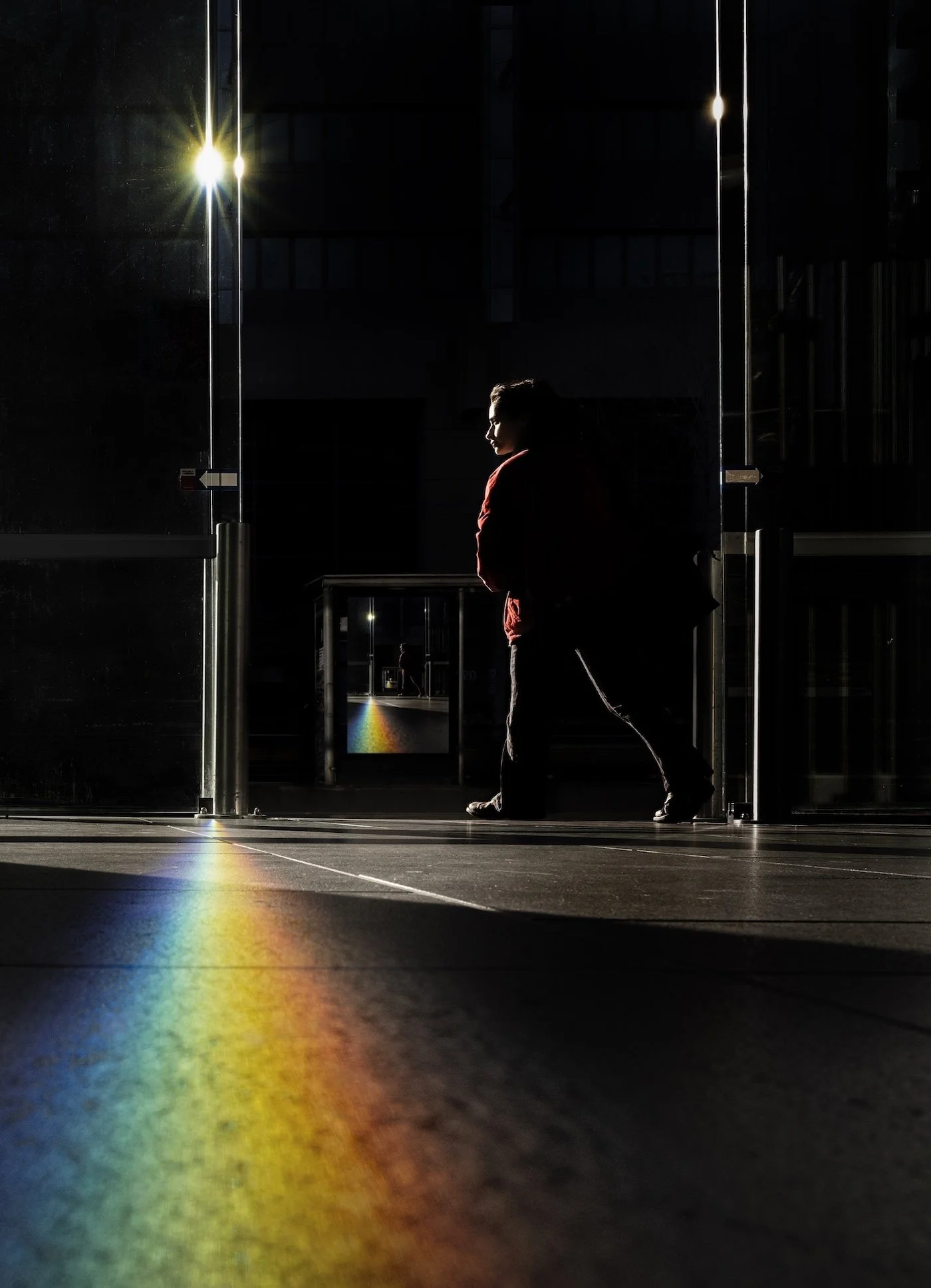 Through the Rainbow Door - David Bignell