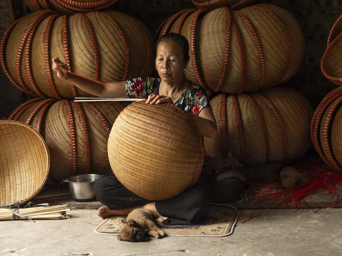 The Basket Maker - Lynne McKay