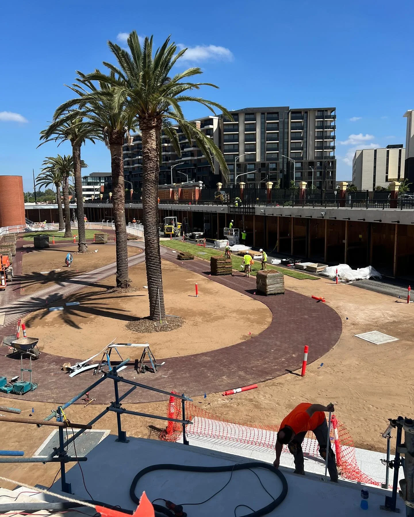 Finishing off the Caulfield race course with an upgraded parading area using our premium kikuyu 🐎