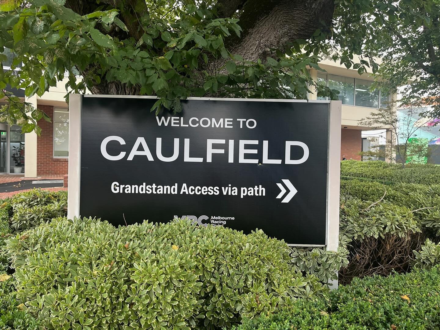 TurfGalore at Caulfield race course!! 🐎🏟️

Just over 10,000m2 in total of our premium Kikuyu grown on sand being perfect addition to the Racecourse ✅👌