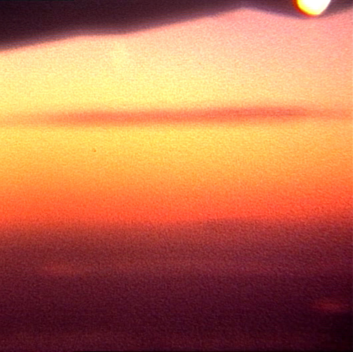 a4254266918_10.jpg