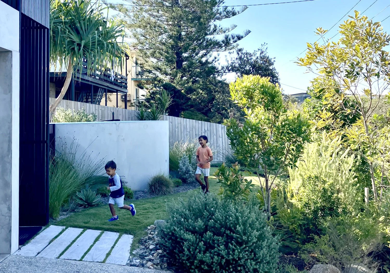 Prandium Studio - Australian Native Garden Peregian Beach 1500p.jpg