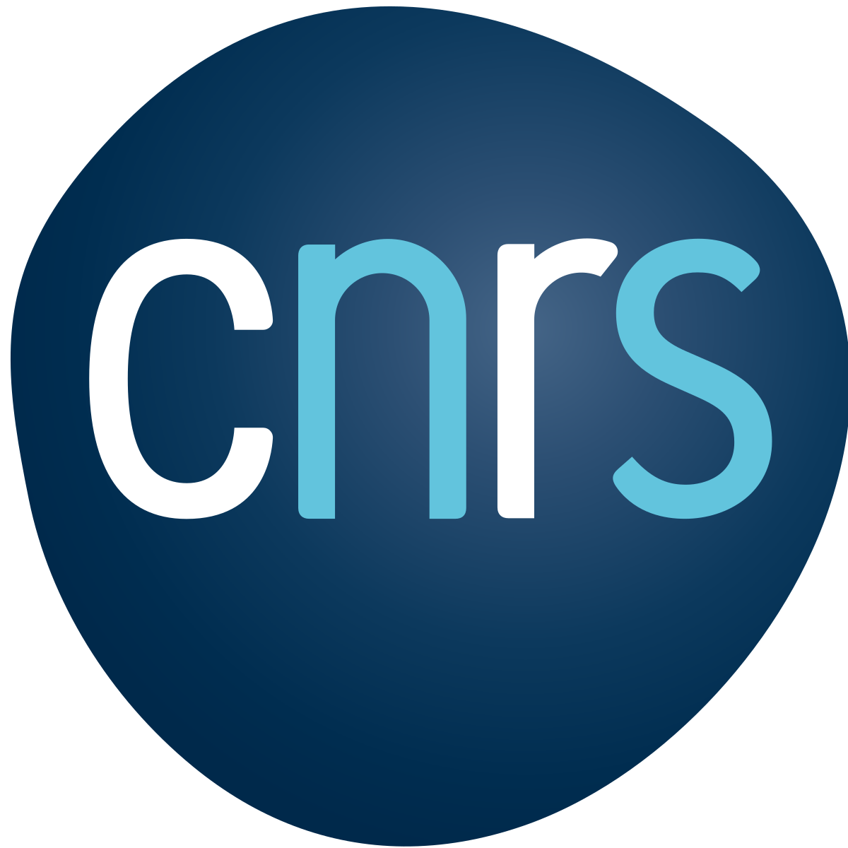 CNRS-logo-large.png