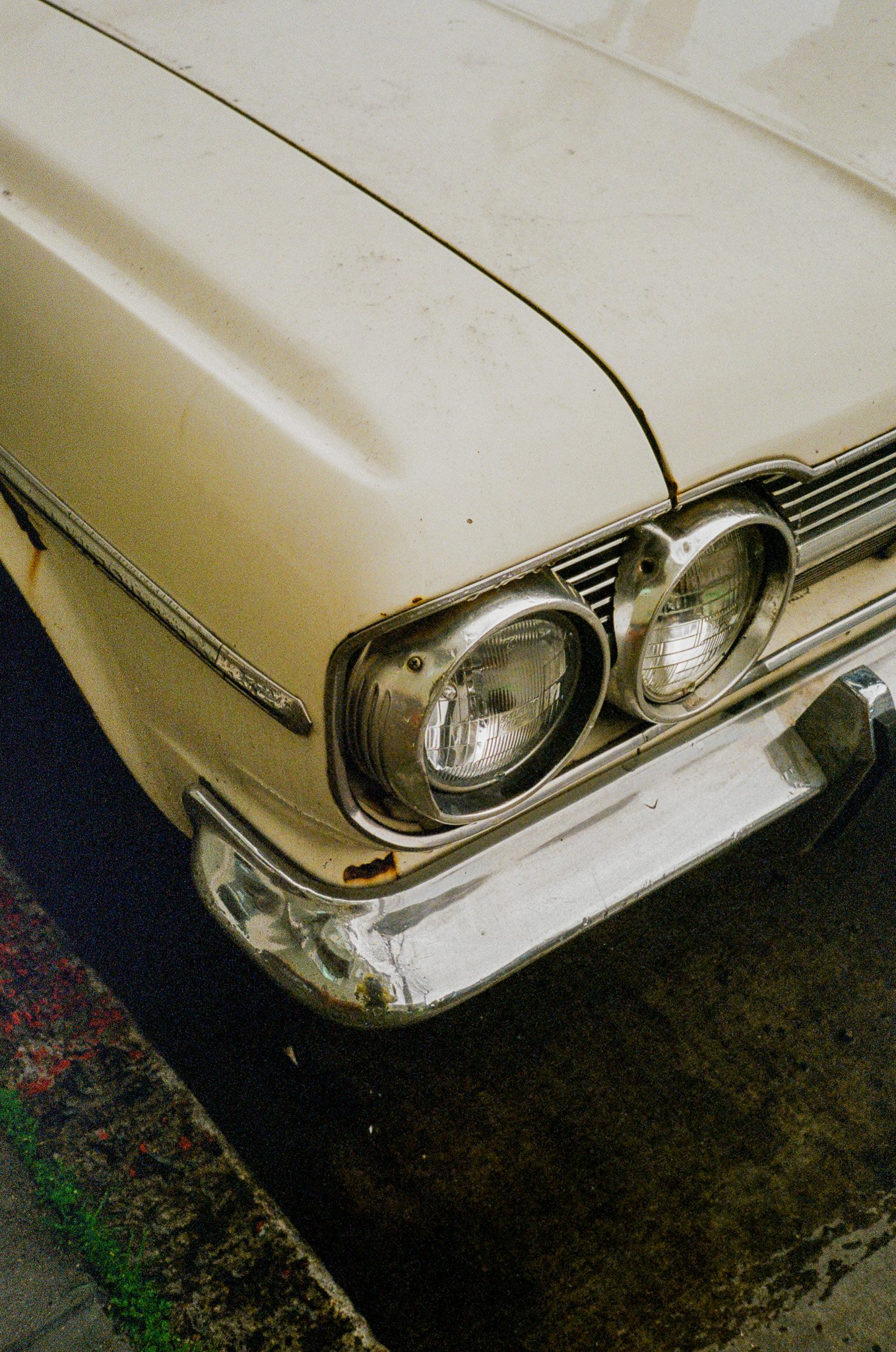 Scan33.jpg