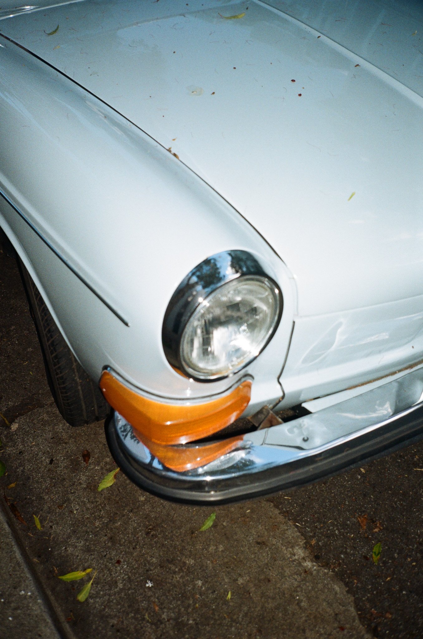 Scan25.jpg